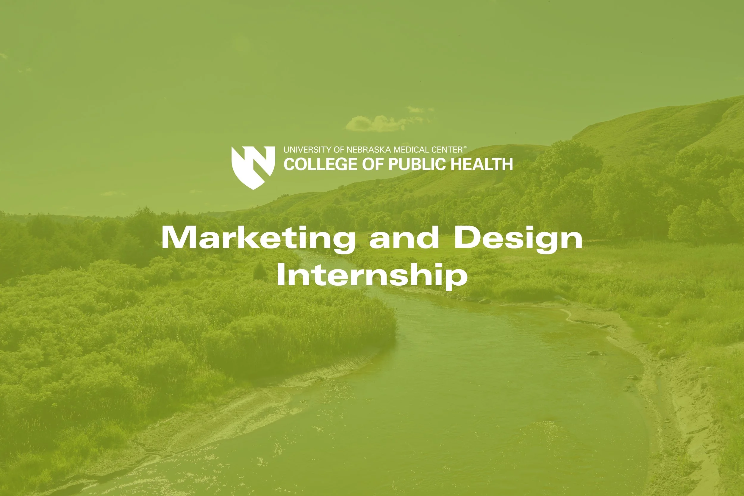 Internship Summer 2026