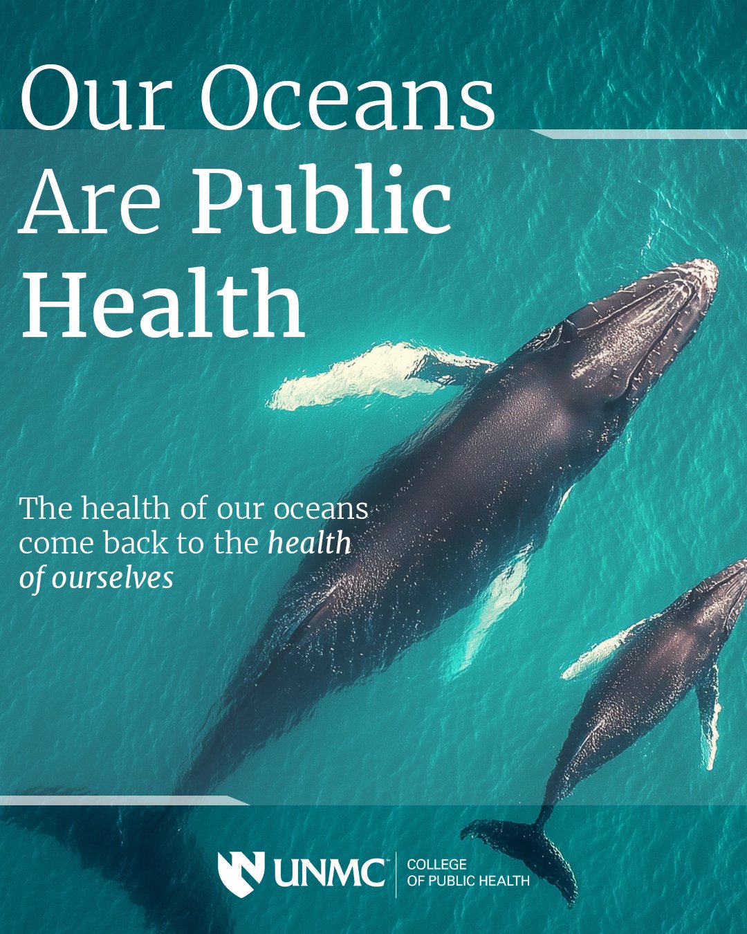 WorldOceansDay.jpg
