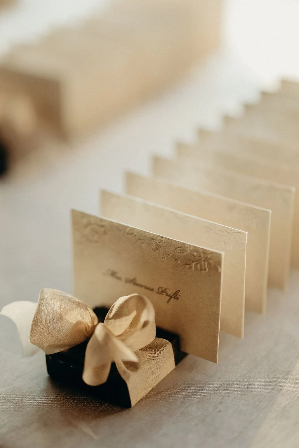 ElysaMariaPhotography-CalliBrianWedding-VenueDetails-14.jpg