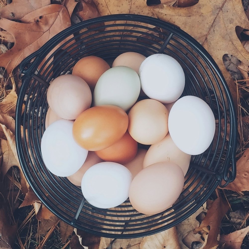 eggs.jpg