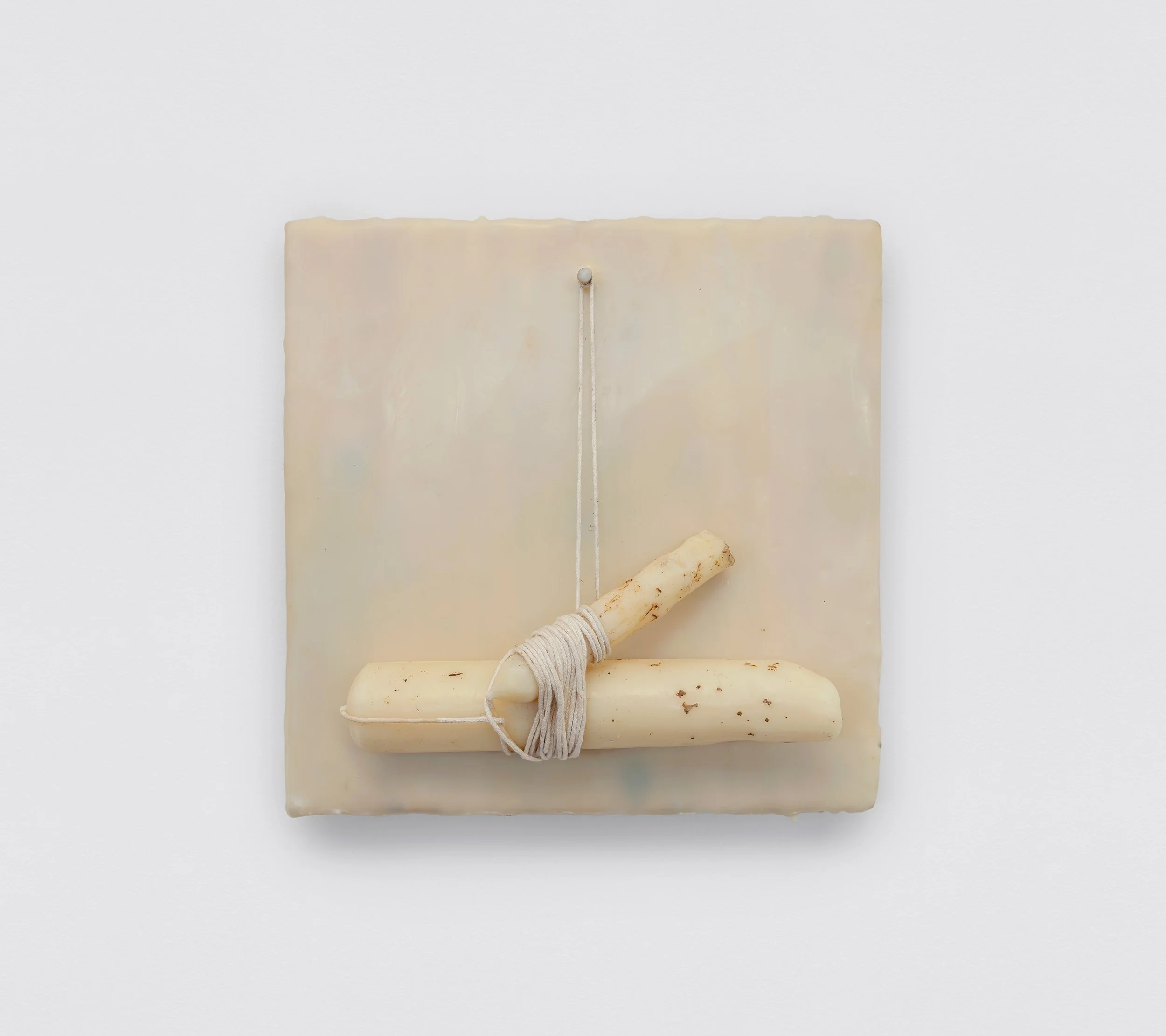 Raphael-Tepedino_ID6037_high.jpg