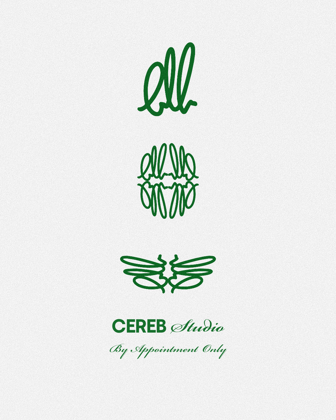 CEREB Studio