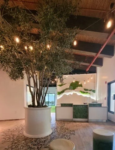 MVW Los Sueños Offices
