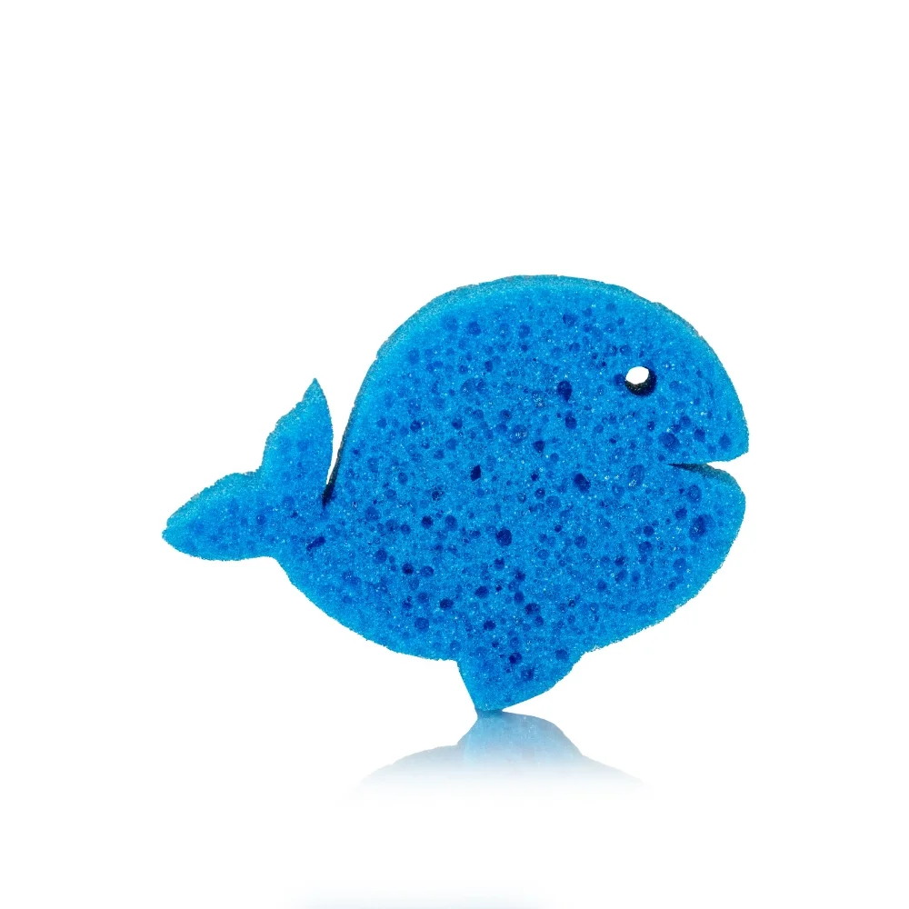 whale sponge1.webp