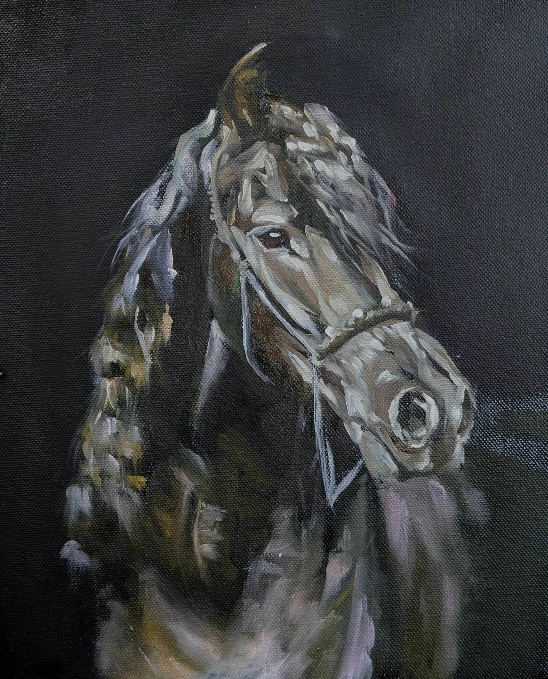 Frisian horse