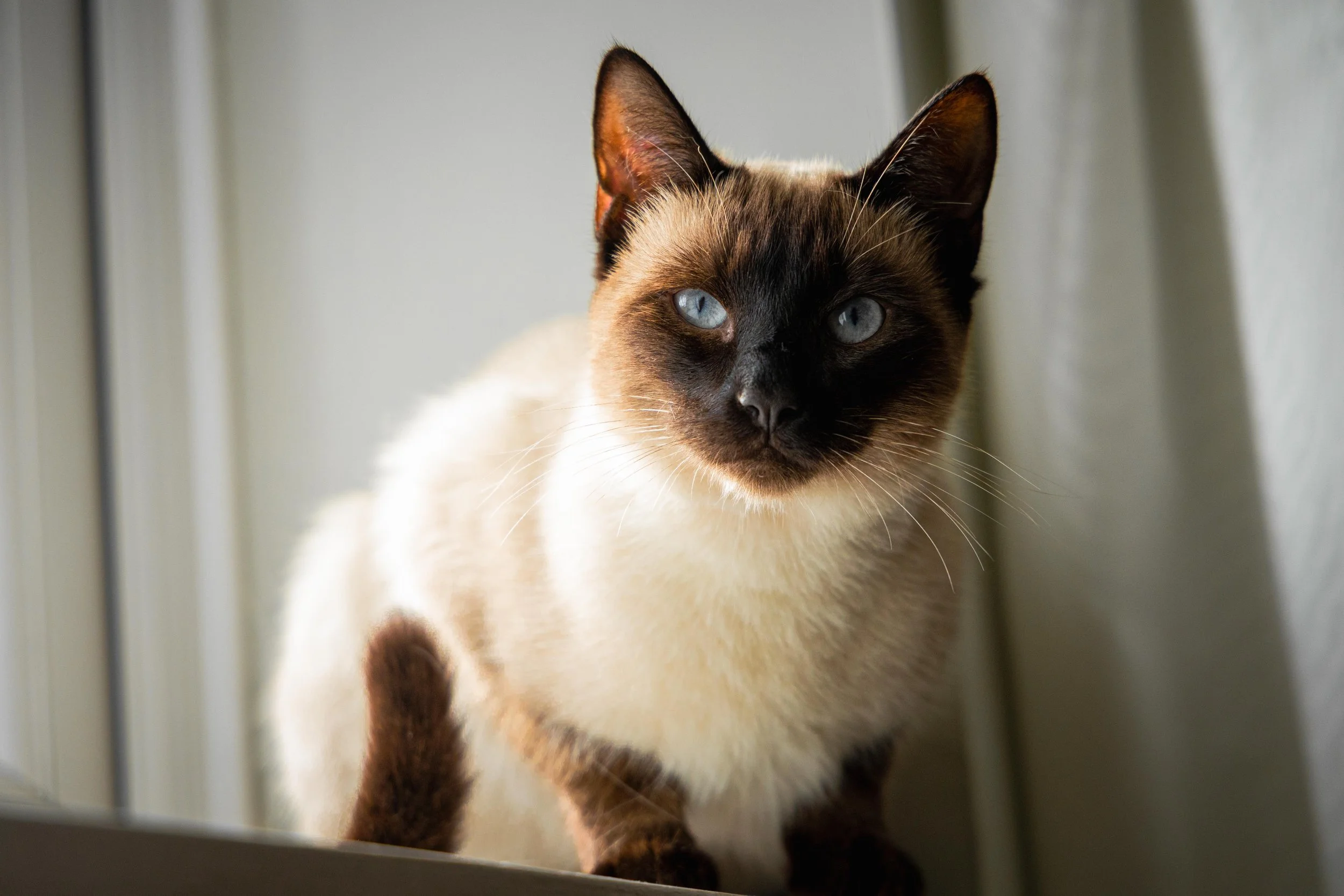 LUKA_SEP 2025 (2 of 4).jpg