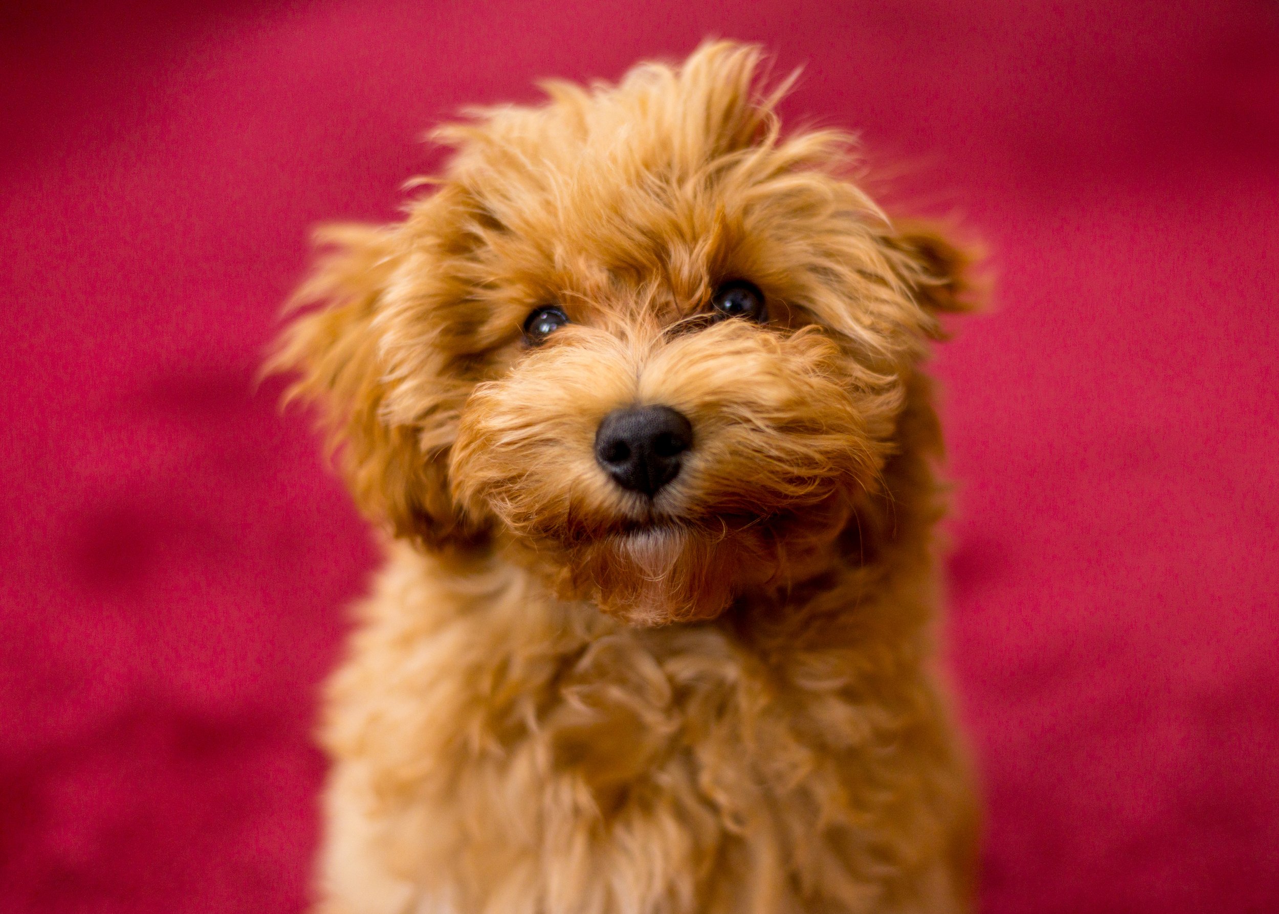 TED_AUGUST 2025 (20 of 70).jpg