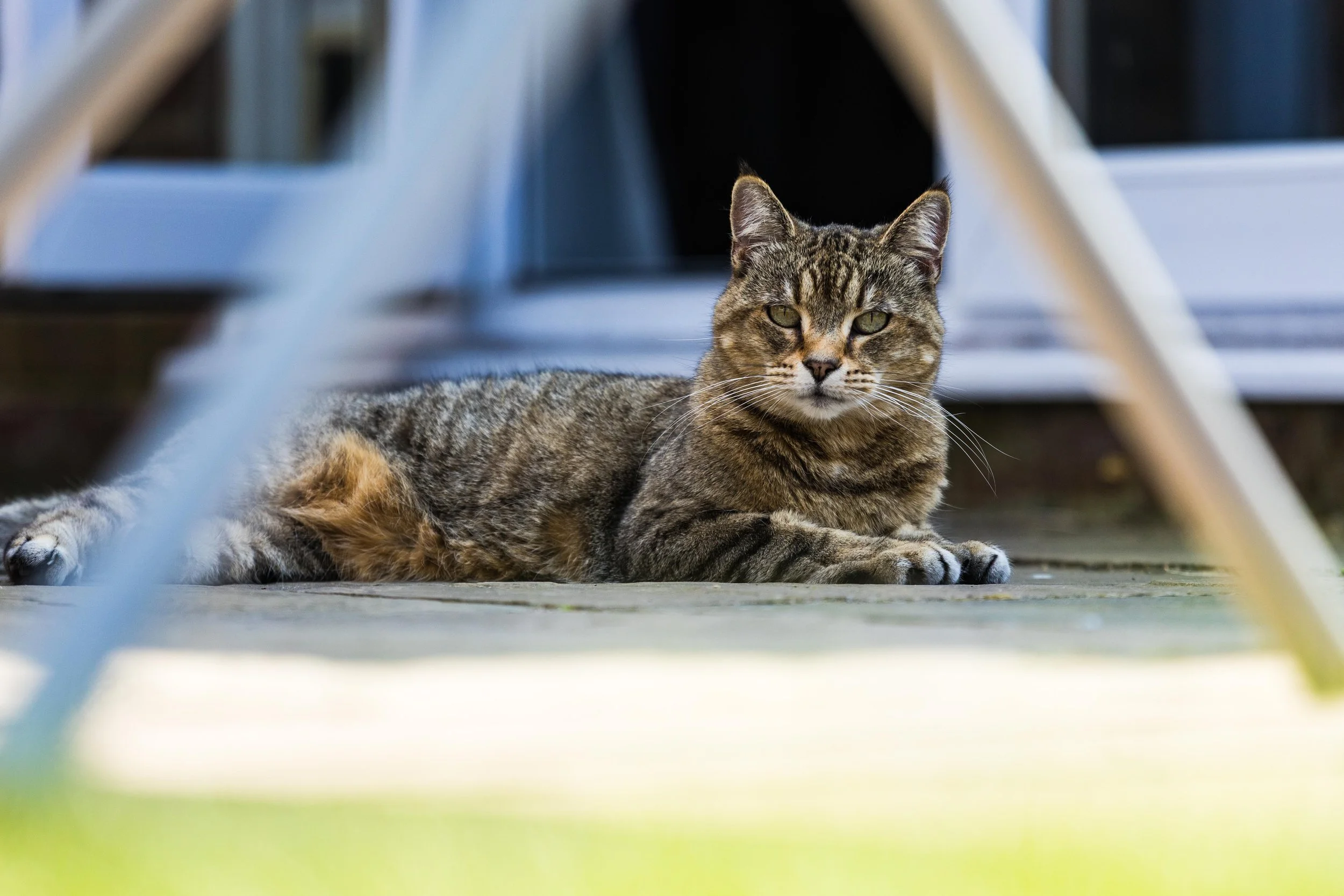 RUBY_AUGUST_REGRADE (1 of 1).jpg