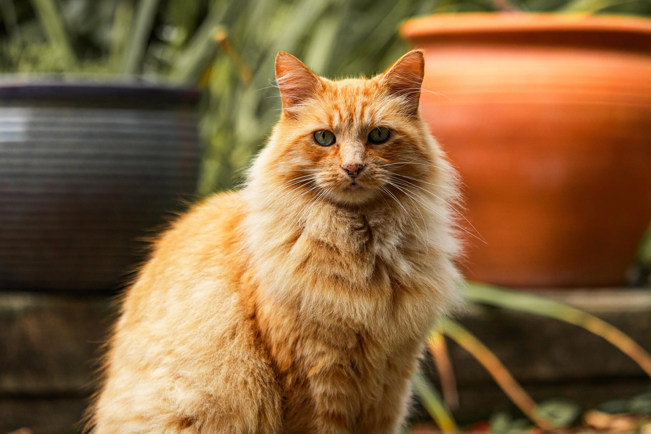 TED_SEP 2025 (2 of 14).jpg