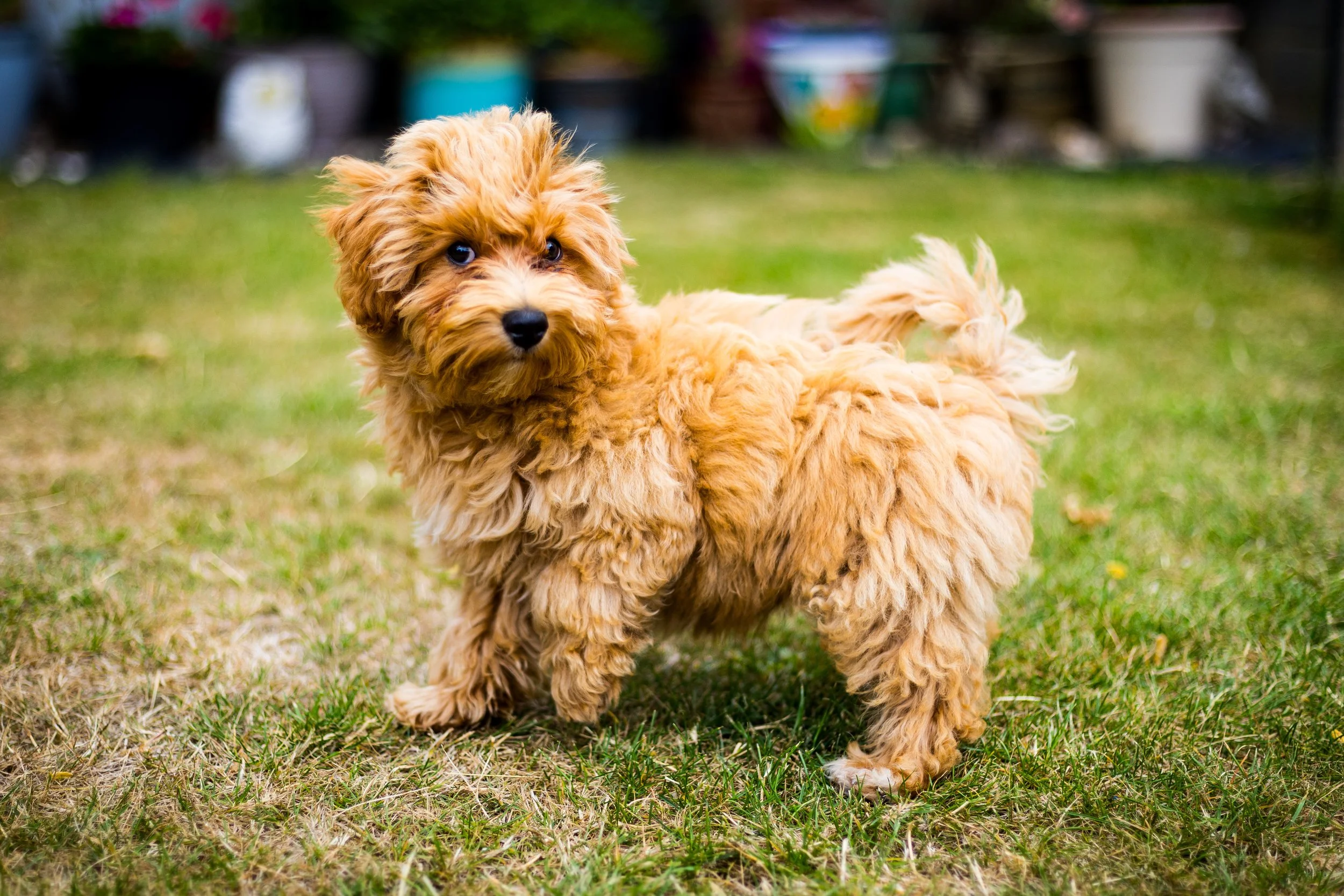 TED_AUGUST 2025 (32 of 70).jpg