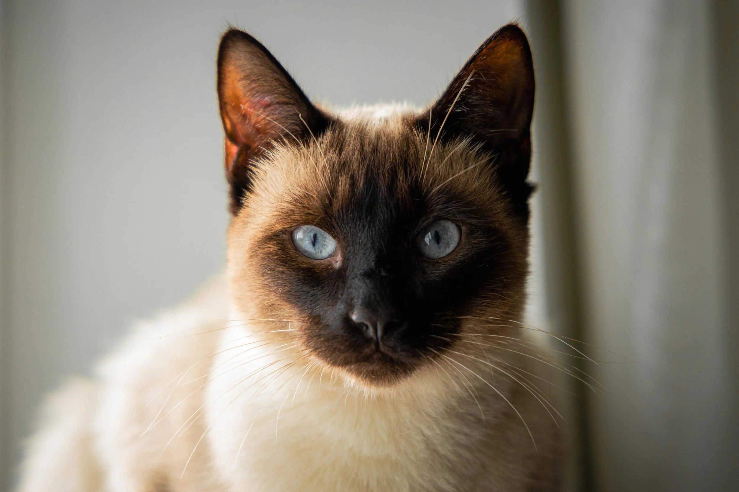 LUKA_SEP 2025 (4 of 4).jpg