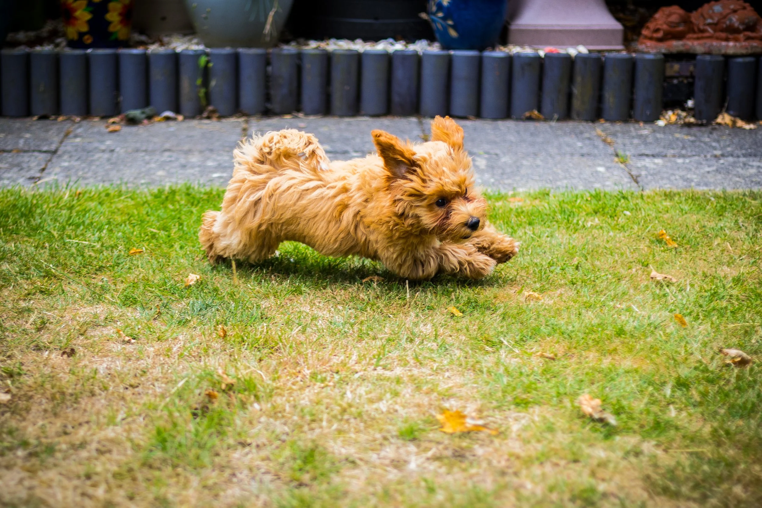 TED_AUGUST 2025 (62 of 70).jpg
