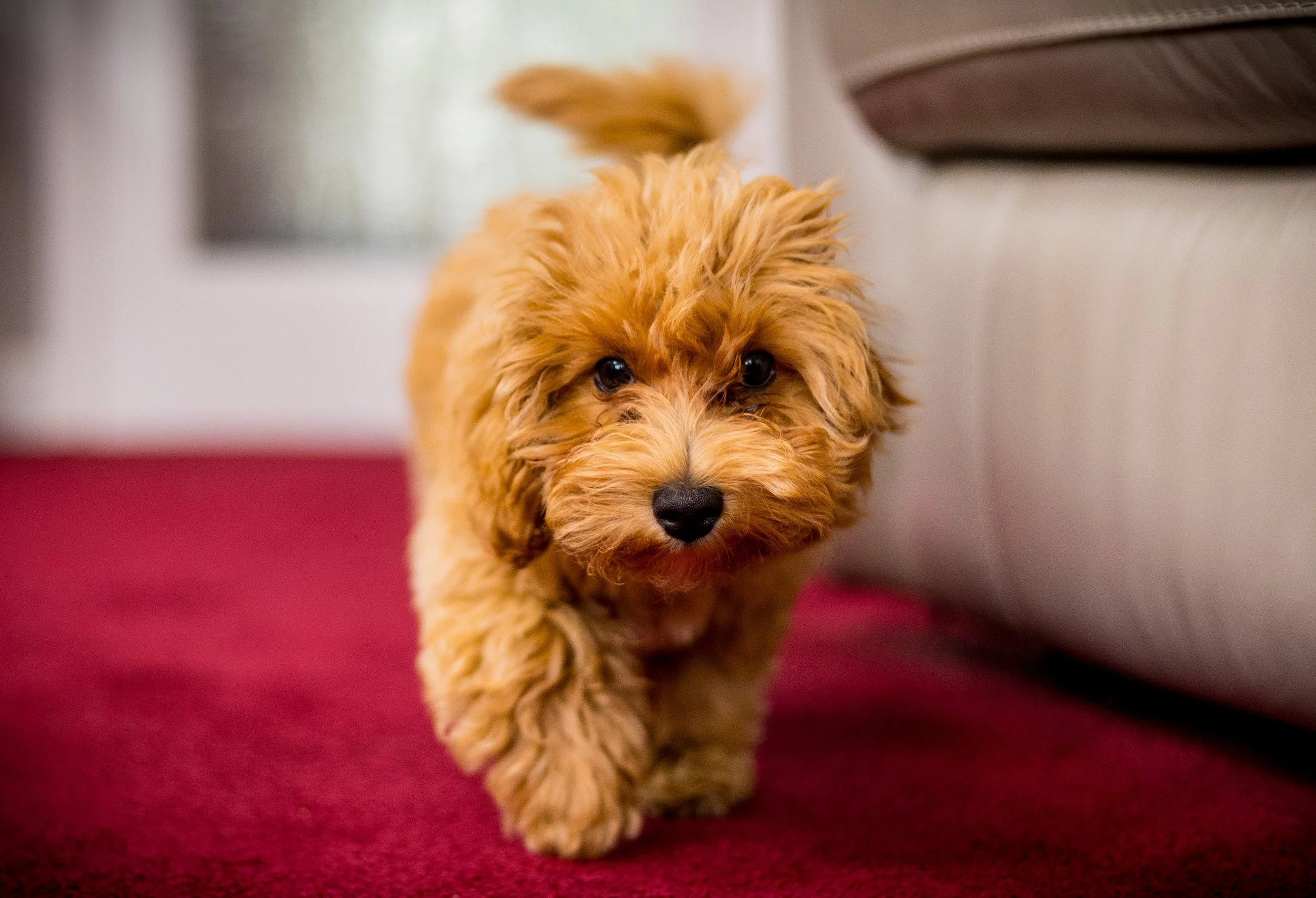 TED_AUGUST 2025 (24 of 70).jpg