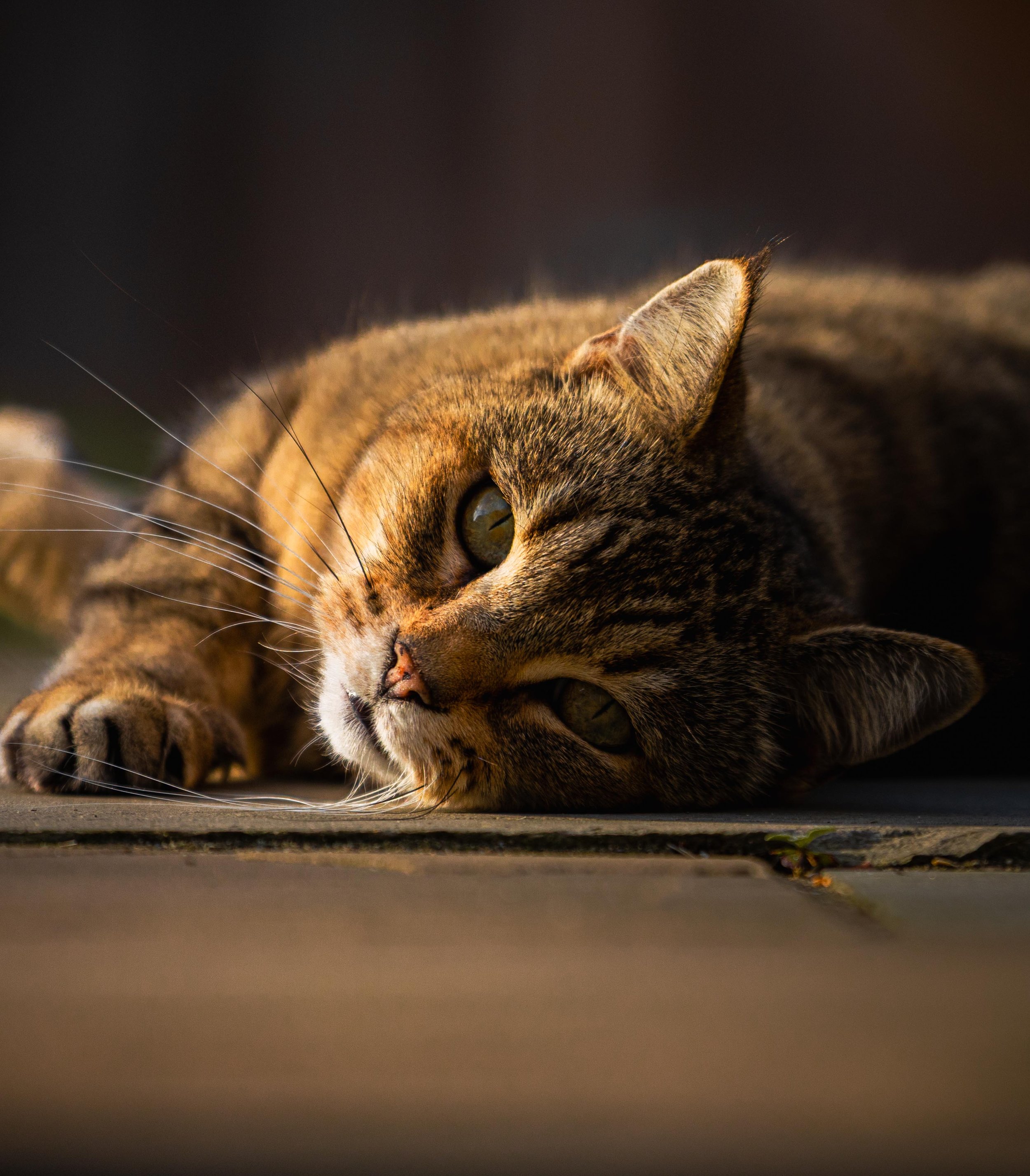 RUBY_OCTOBER (2 of 10).jpg