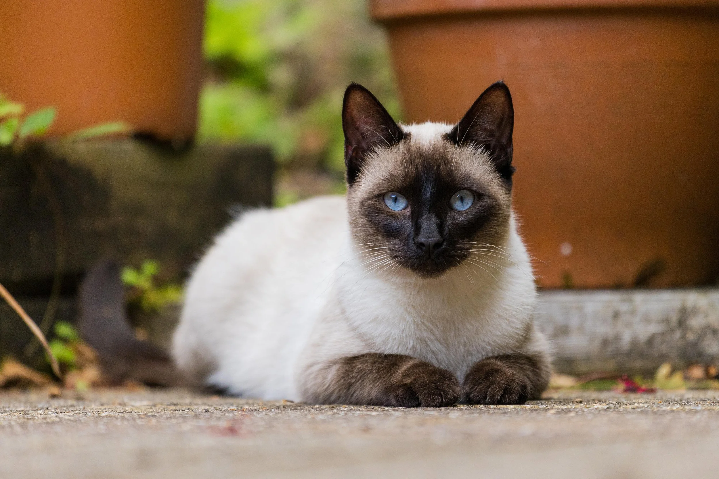 LUKA_SEP 2025 (6 of 9).jpg