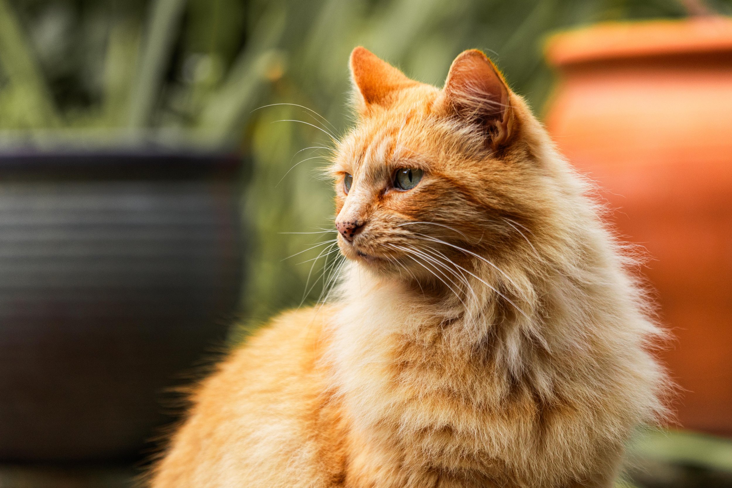 TED_SEP 2025 (5 of 14).jpg