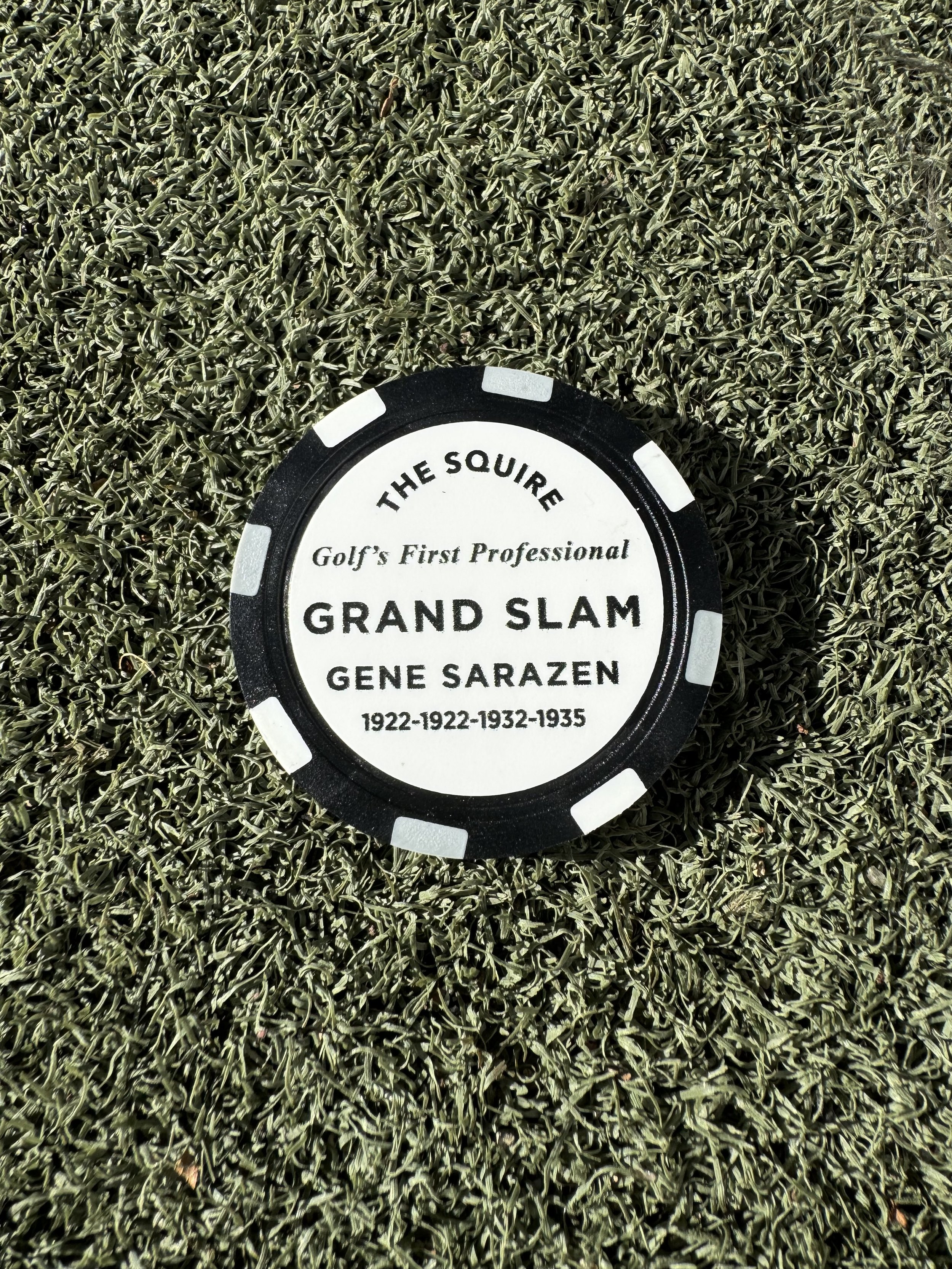 Poker Chip GS back.jpg