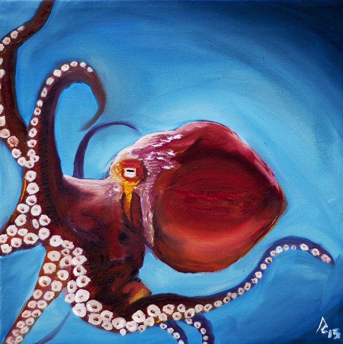 octopus.jpg