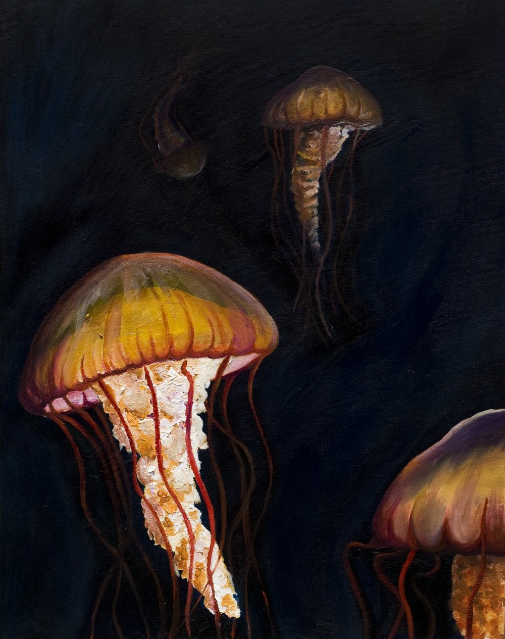 jellyfish.jpg
