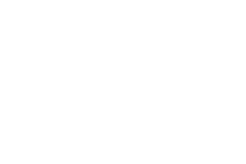 Ariel University Logo