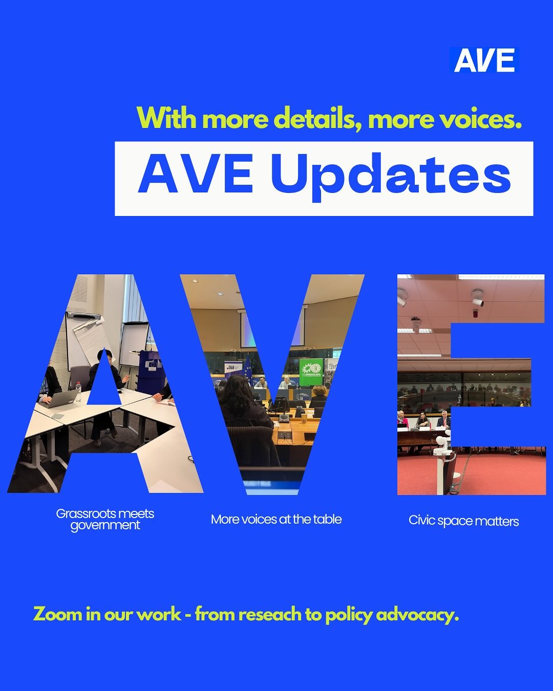 📢 AVE Update: What we&rsquo;ve been up to 🧵
From Brussels to Minnesota, we&rsquo;ve been raising our voices&mdash;pushing for better data, stronger policies, and community-led change. Want to know what went down this quarter? We&rsquo;ve got you.

