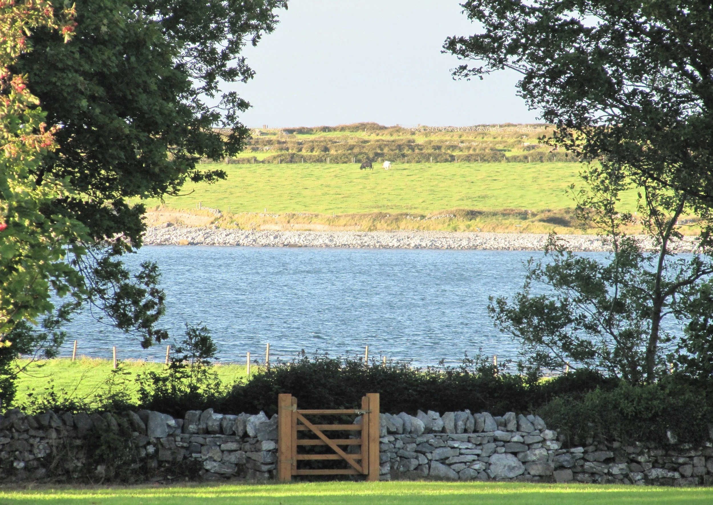 THE SEA IS NEVER FAR
Glimpses of Galway Bay appear between the trees as you wander through the grounds.