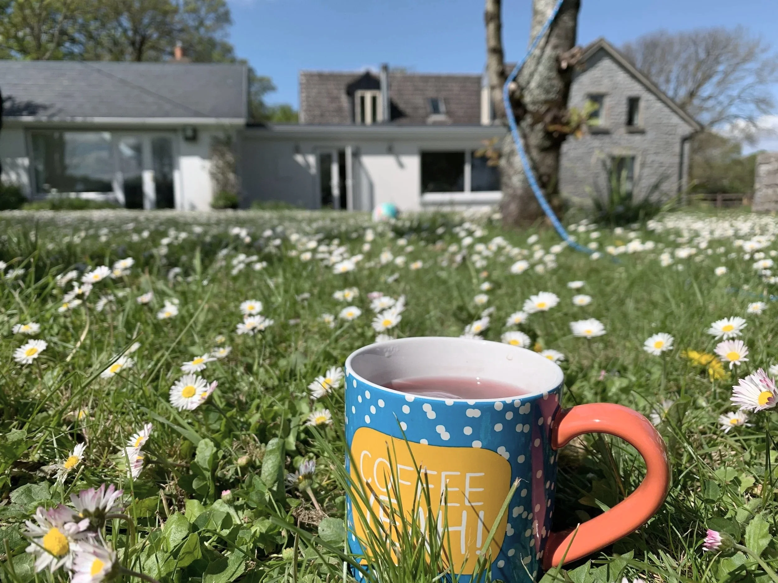 MORNING, BAYFIELD
Coffee in the orchard, preferably while the rest of the house is still asleep.