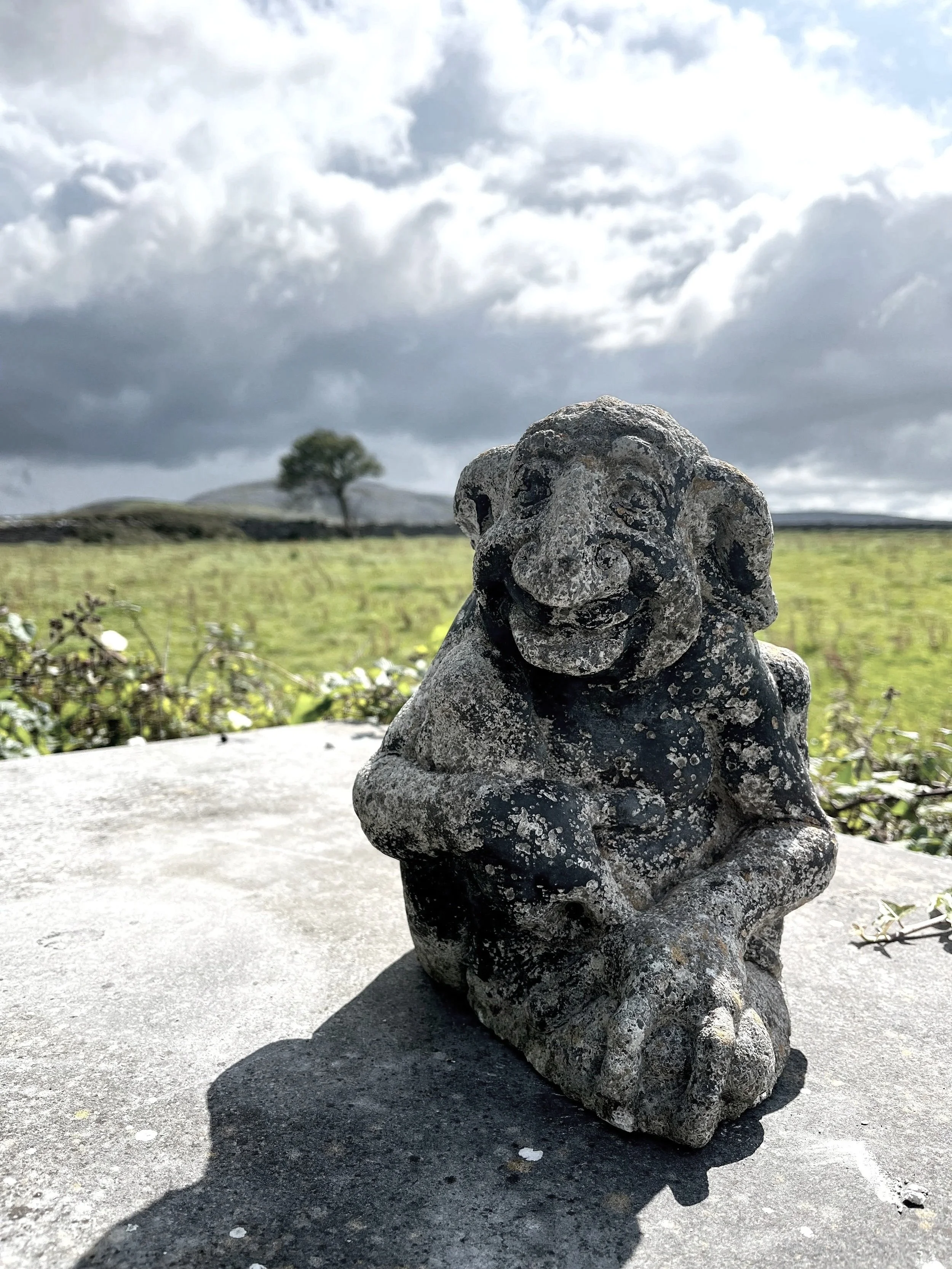 KEEPING WATCH
Our little stone guardian, keeping an eye on Bayfield and the Burren beyond.