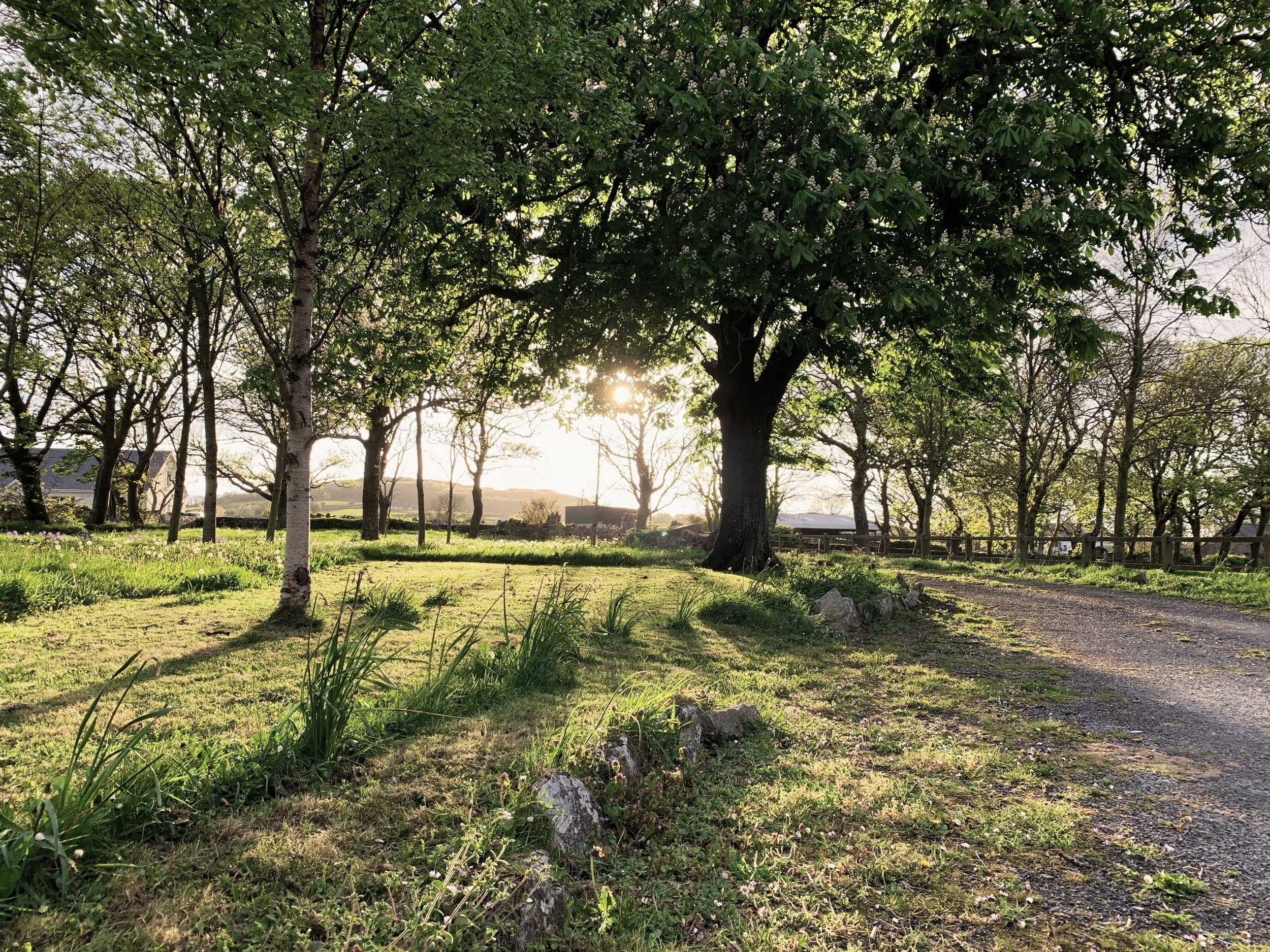 A LITTLE WILD
Three acres of orchard, old trees and open spaces — exactly as we like it.