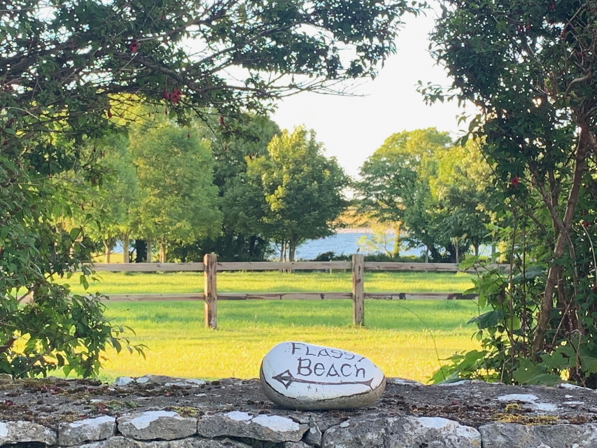 PHOTO-2022-06-06-22-29-59 4.jpeg