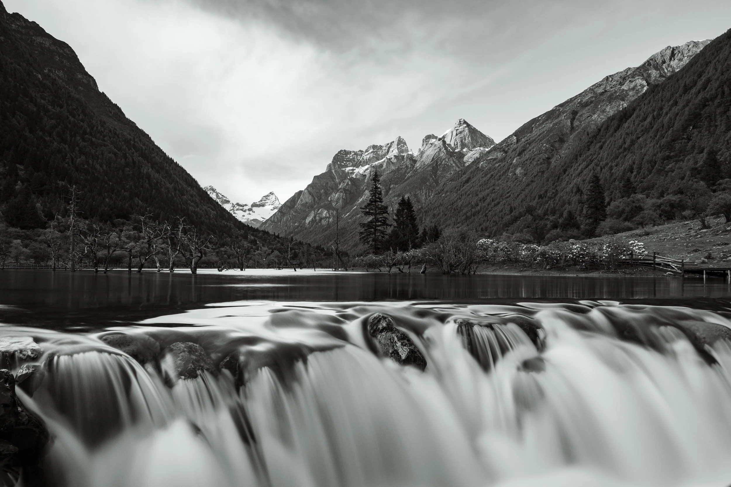 In the Lap of Nature