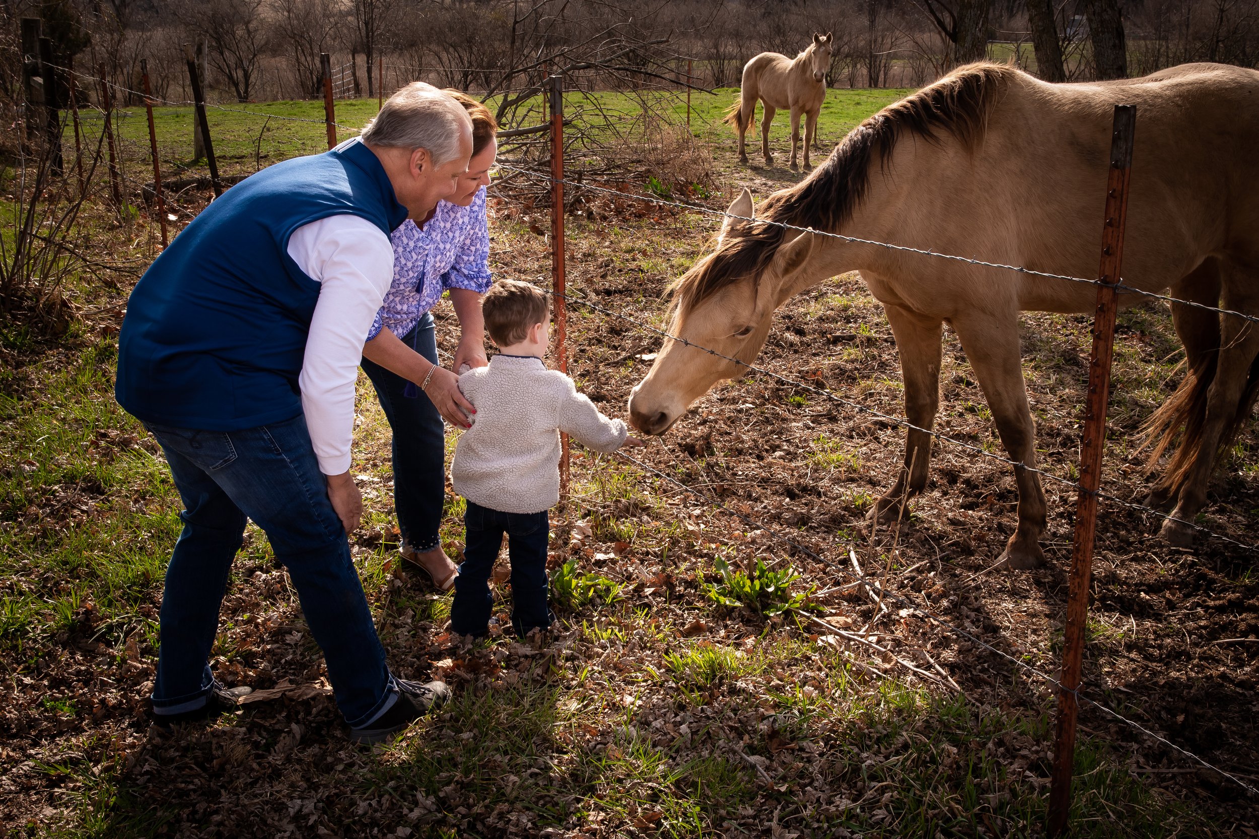 Family Session- Liberty farm- Kansas City