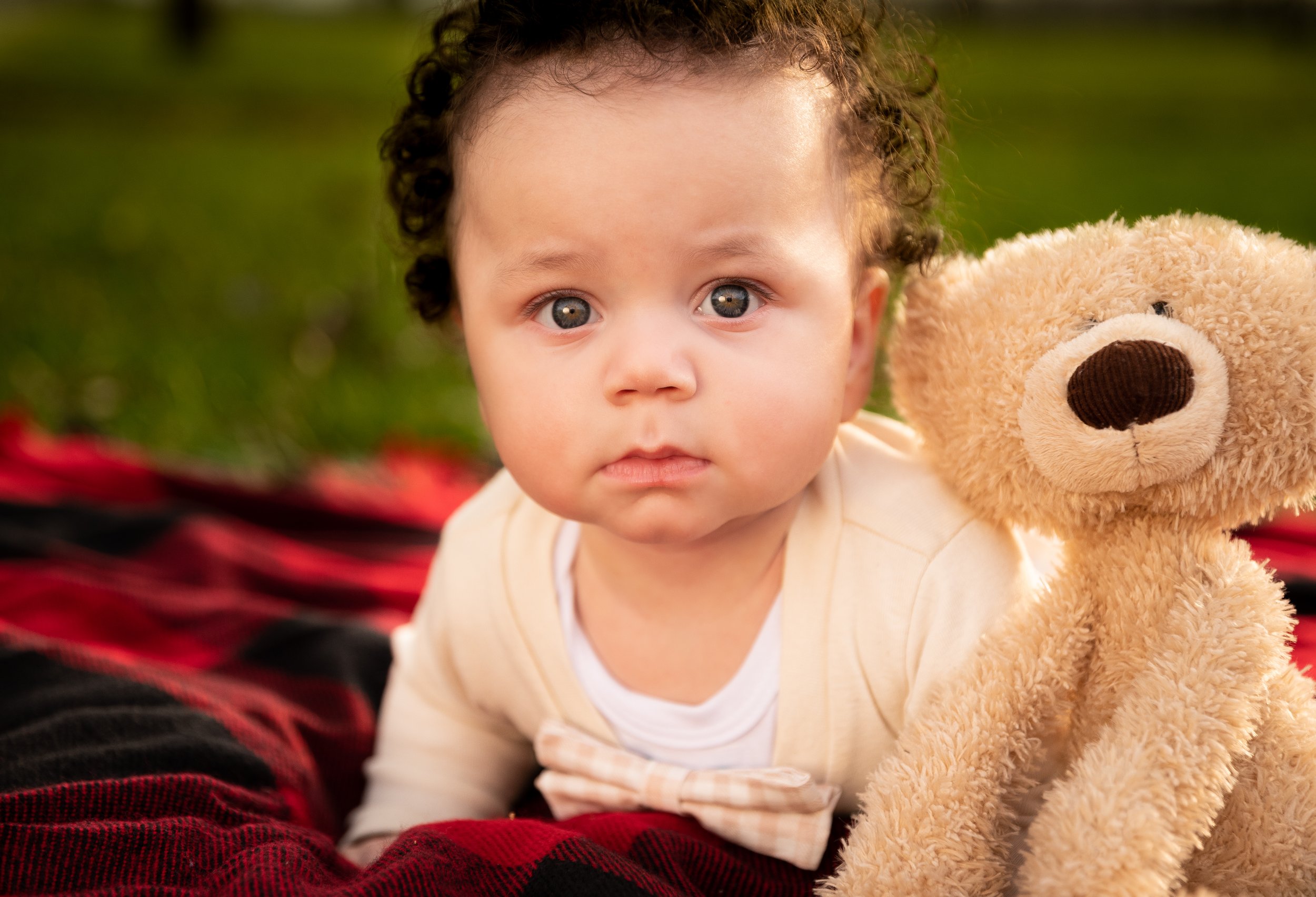 6 month baby milestone- Kansas City