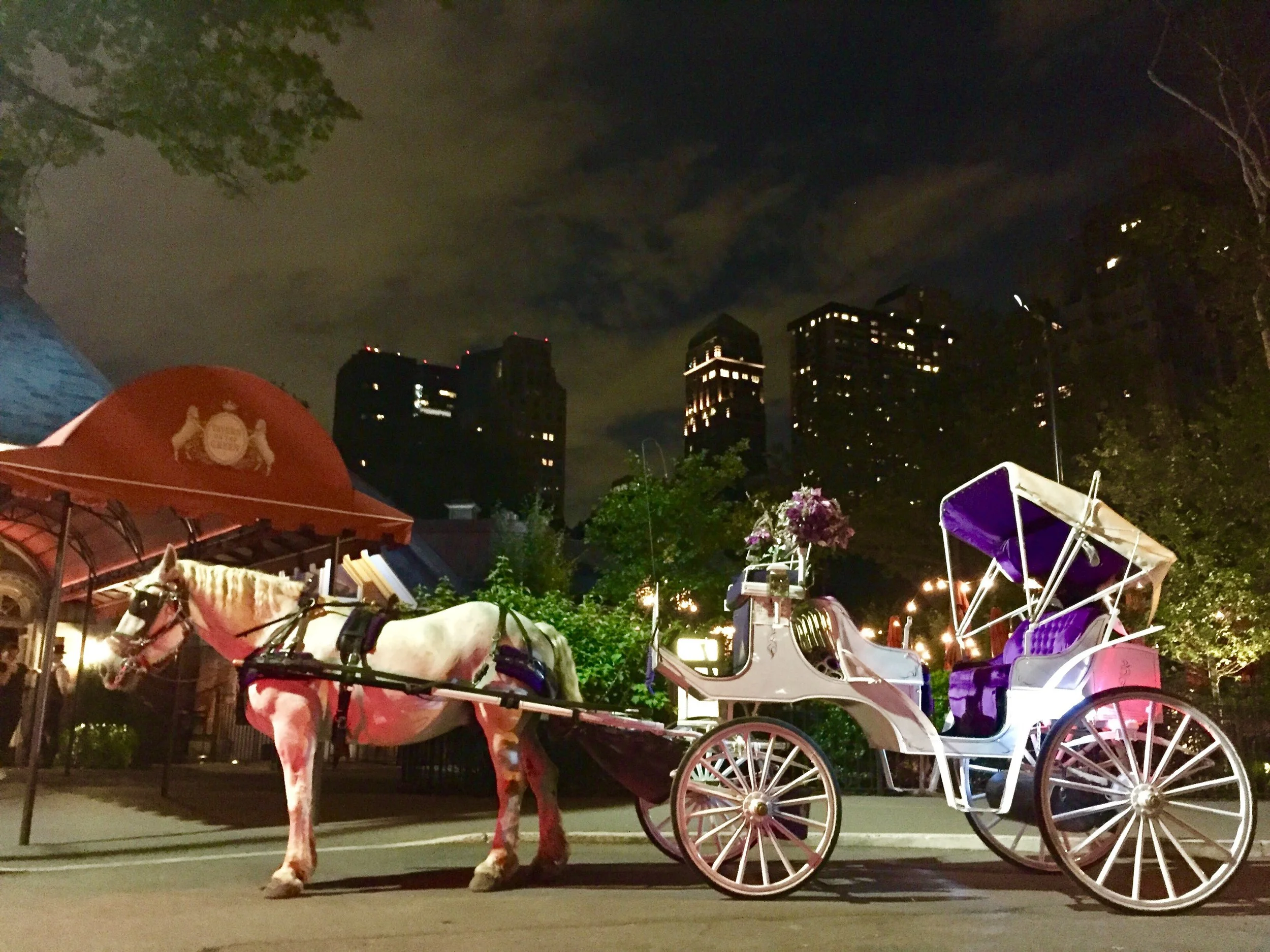 NYC Christmas Lights Horse &amp; Carriage Ride: Central Park and Fifth Avenue Holiday Tour