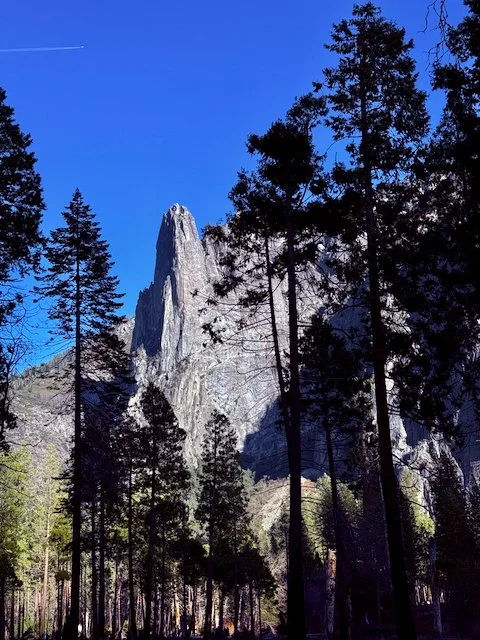 Reaching for the Sky, Yosemite National Park