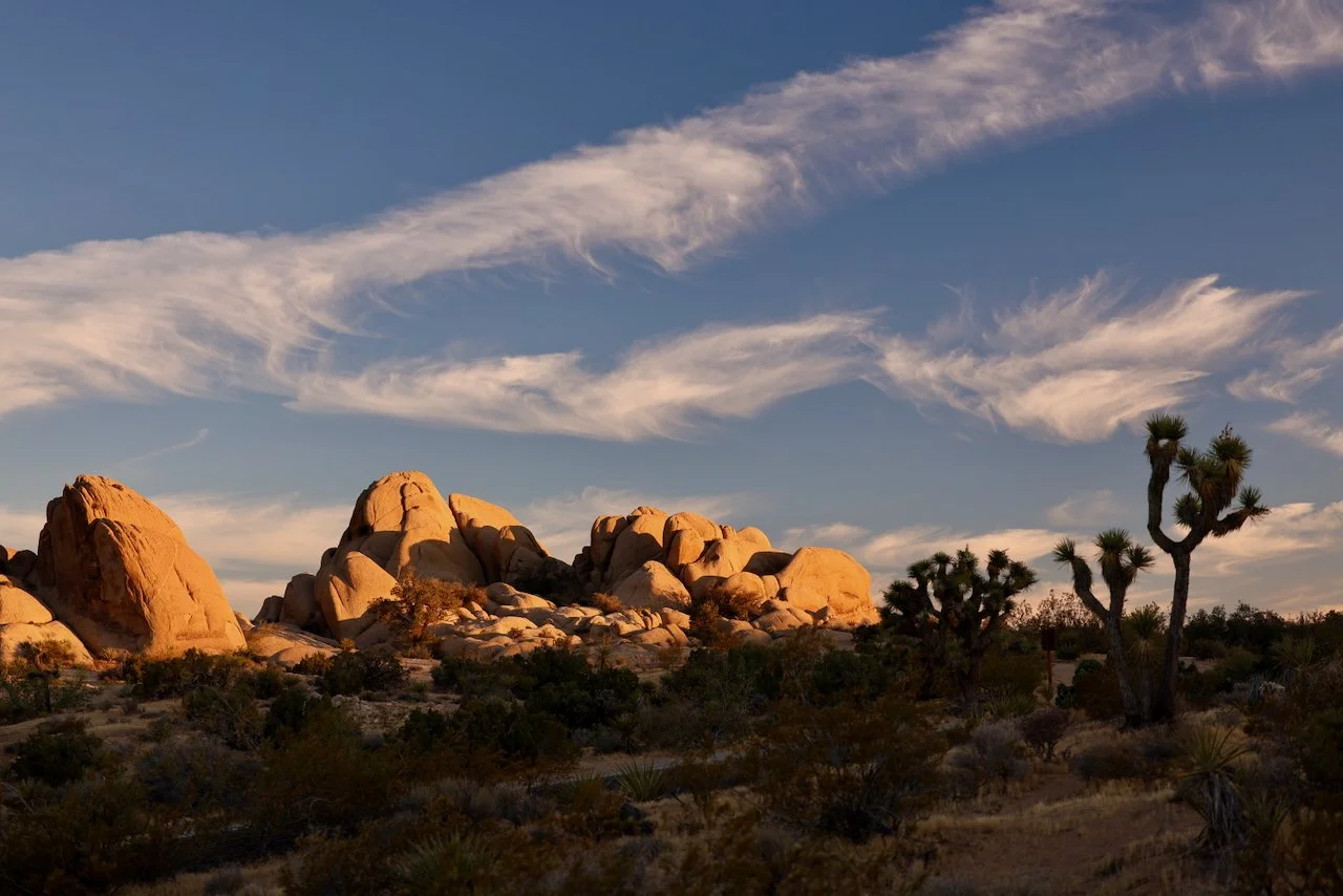 Joshua Tree National Park