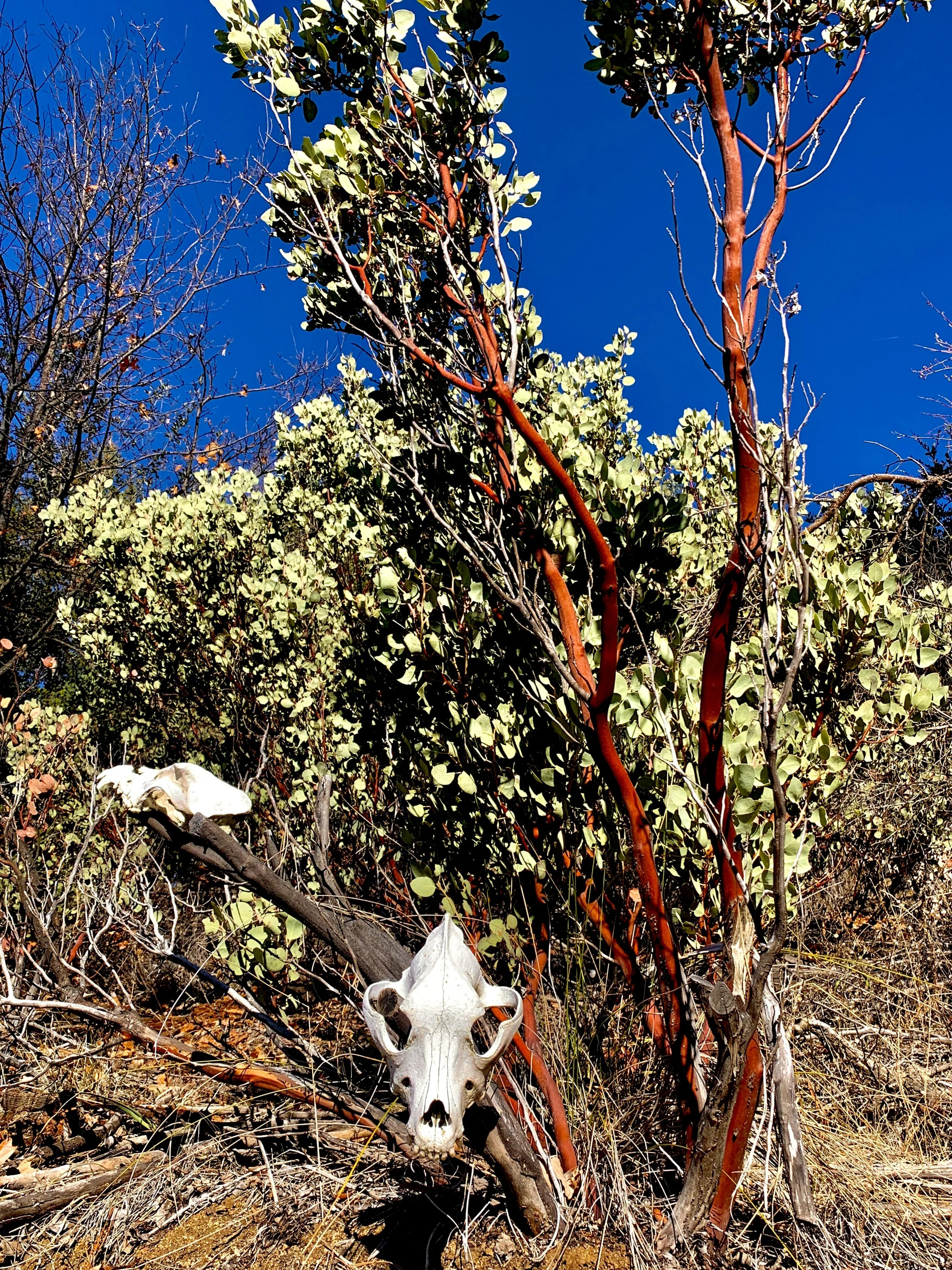 Reminders to respect the vastness of this land