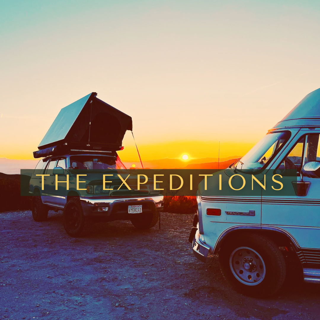 Benefits of Re-WILD-ing