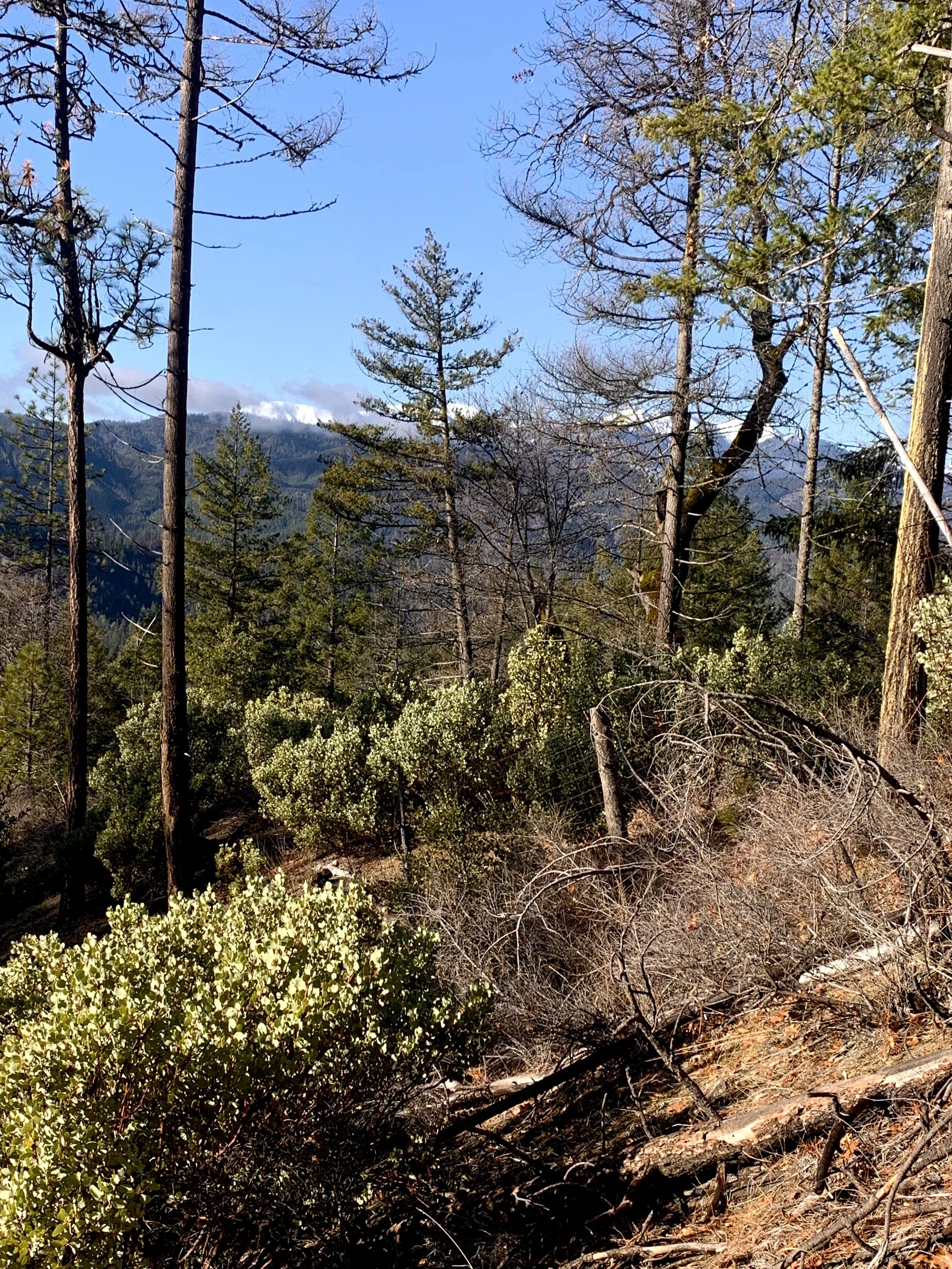 Trinity Alps beckoning for us to wander
