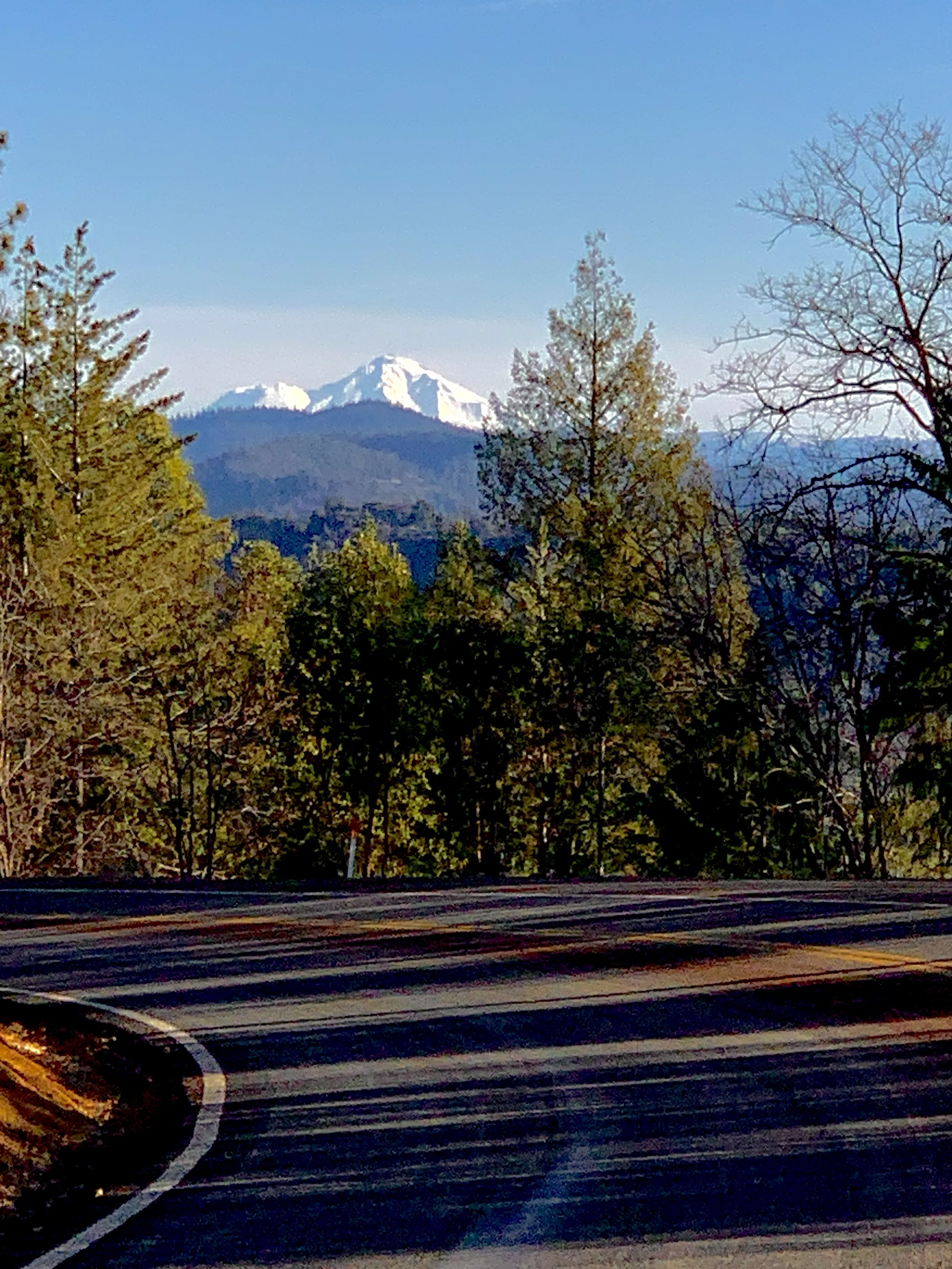 Her Majesty, Mt. Shasta - Root Chakra of Earth
