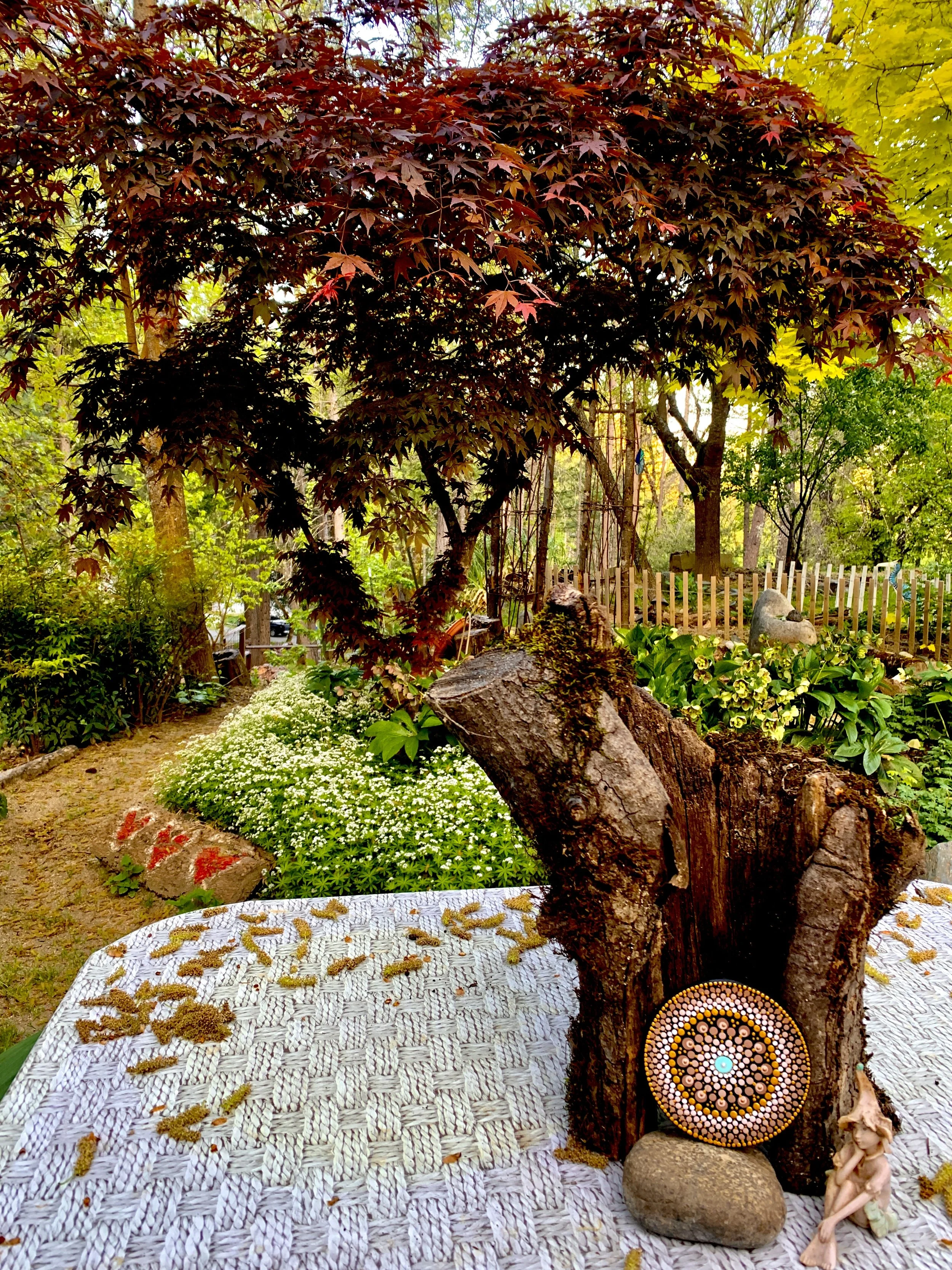 Finding Center Mandala in the Secret Garden.JPG