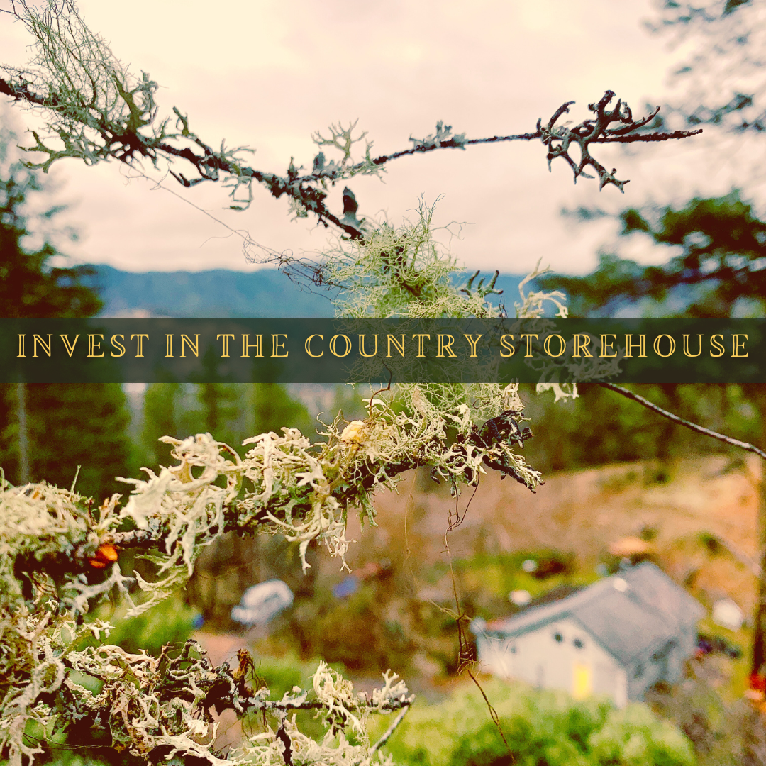 SH Tour - Invest.png