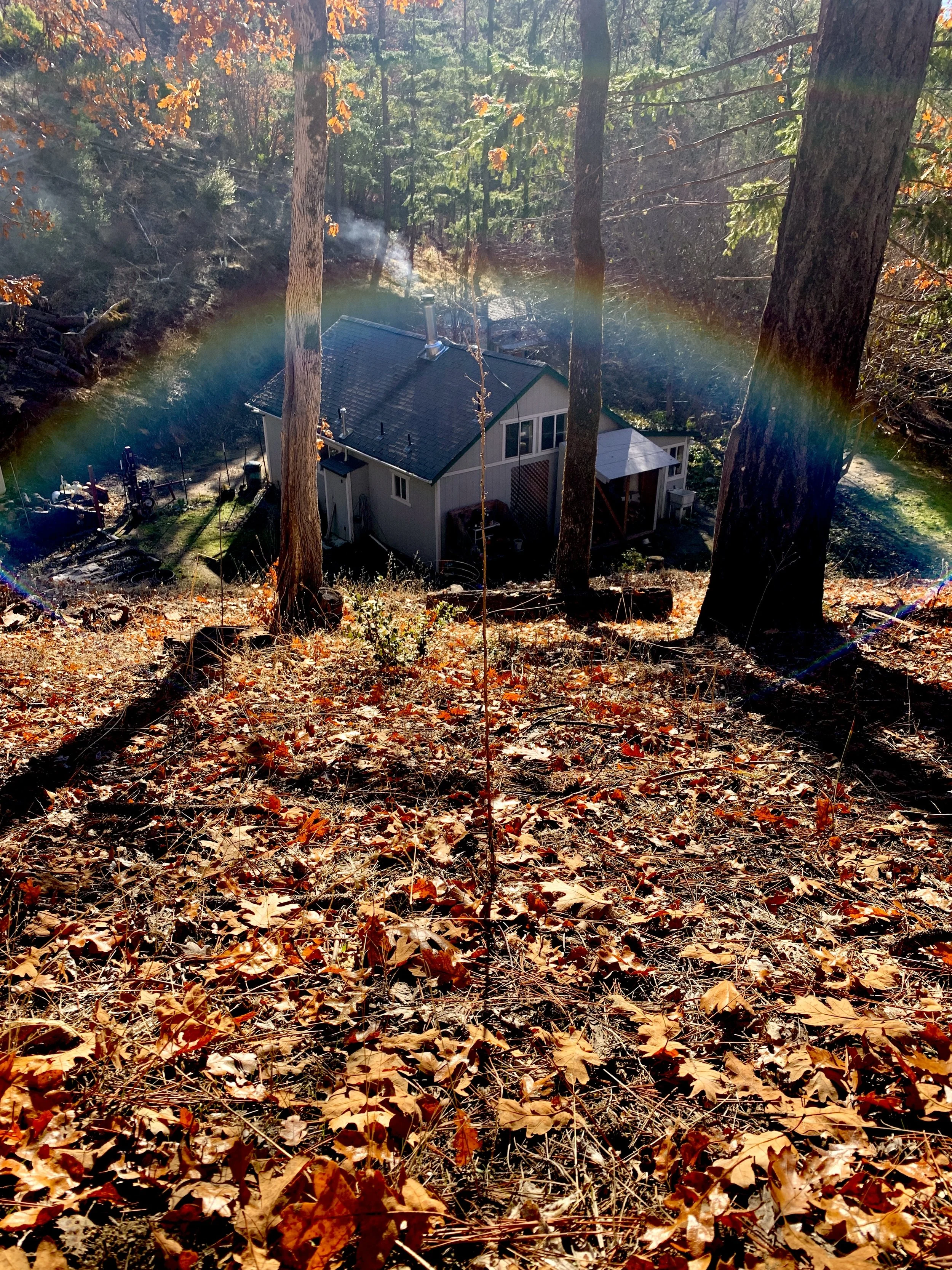 Its just this kinda place!