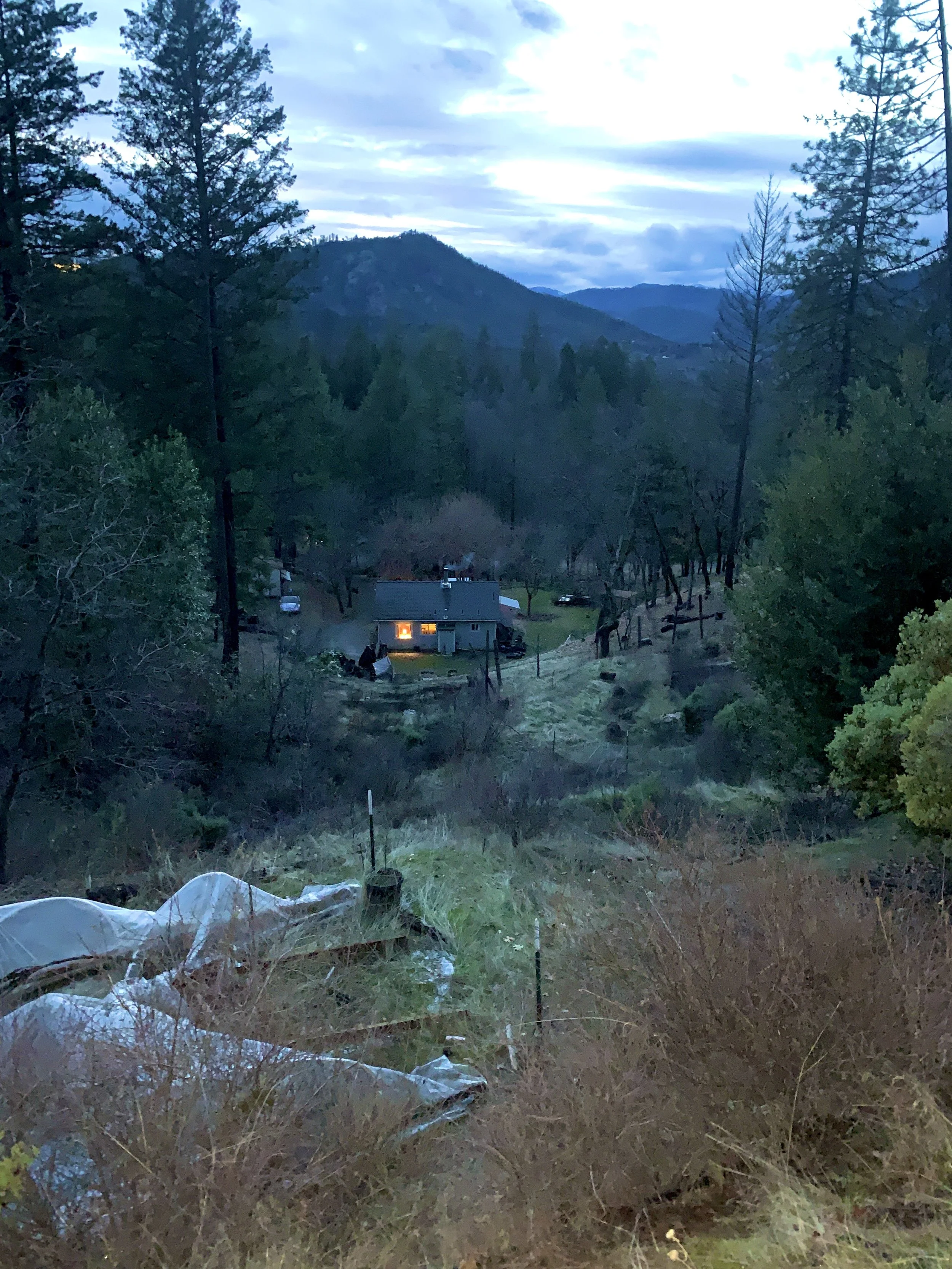 Twilight….(just without vampires)