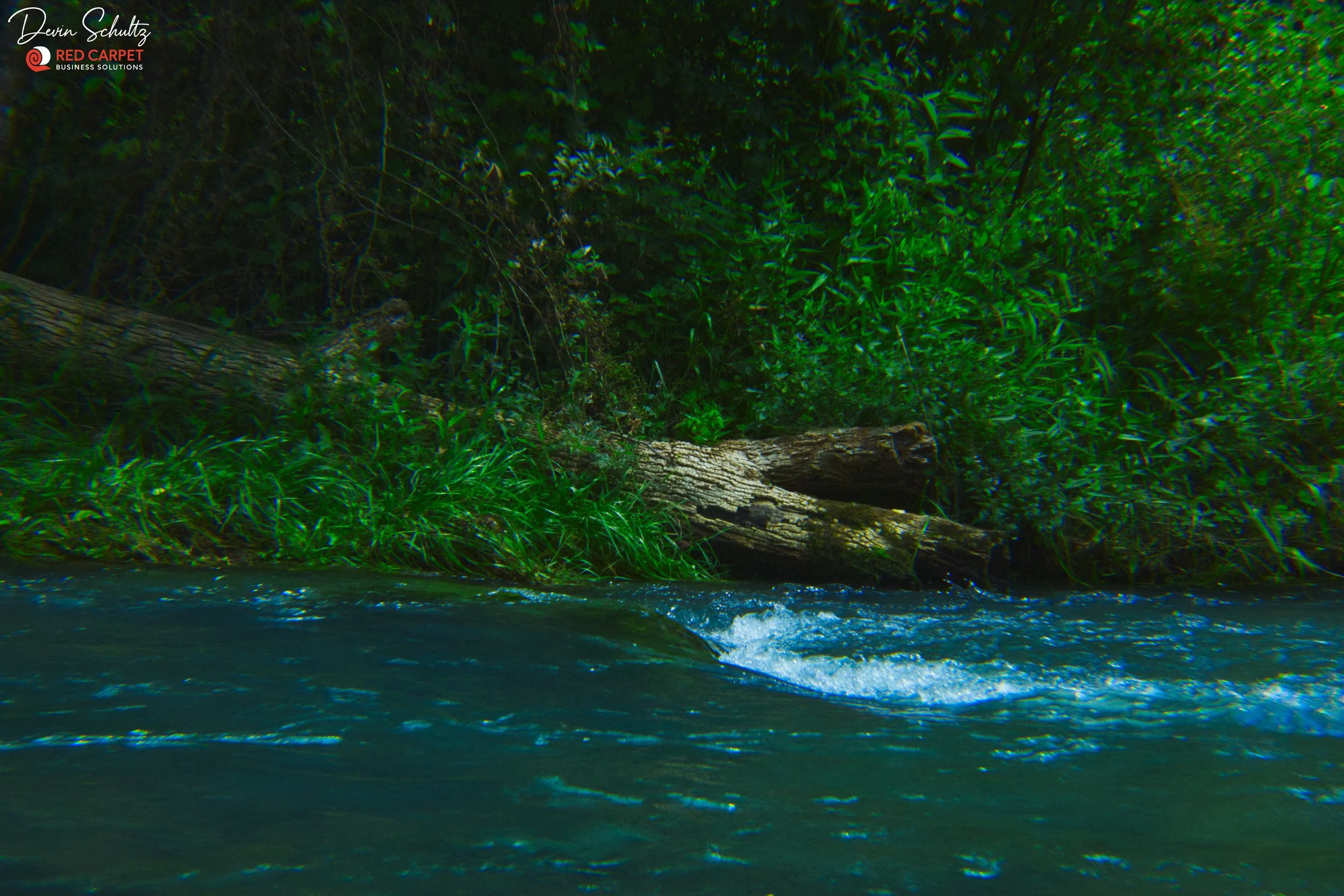 Alley Springs Log and Spring Photo