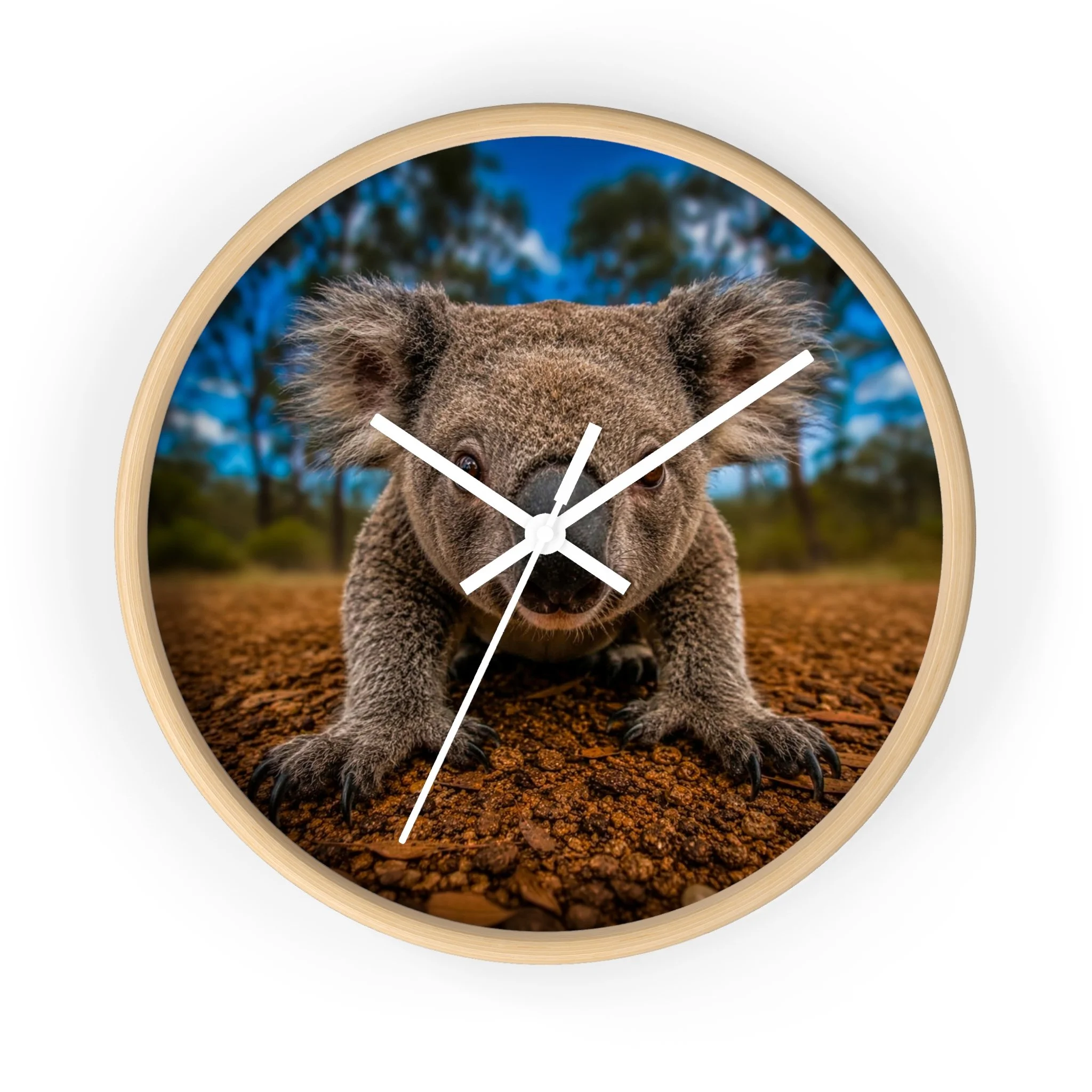 Curious Koala Clock