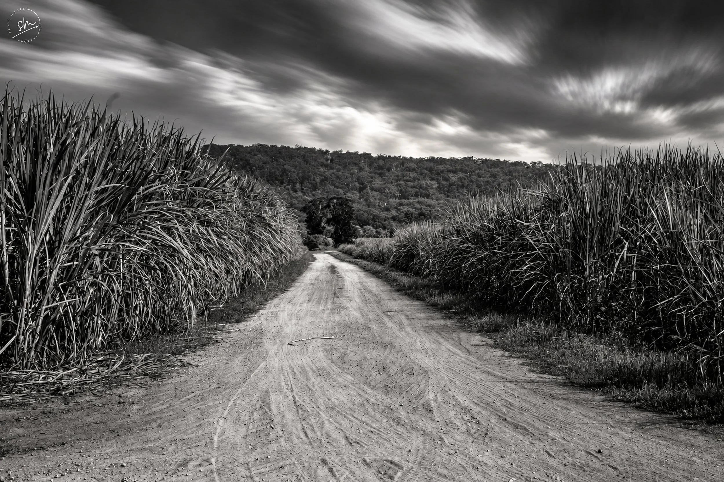 Black and white photo of a rural dirt road through a field of tall crops, with a forested hill in the background and a cloudy sky overhead.