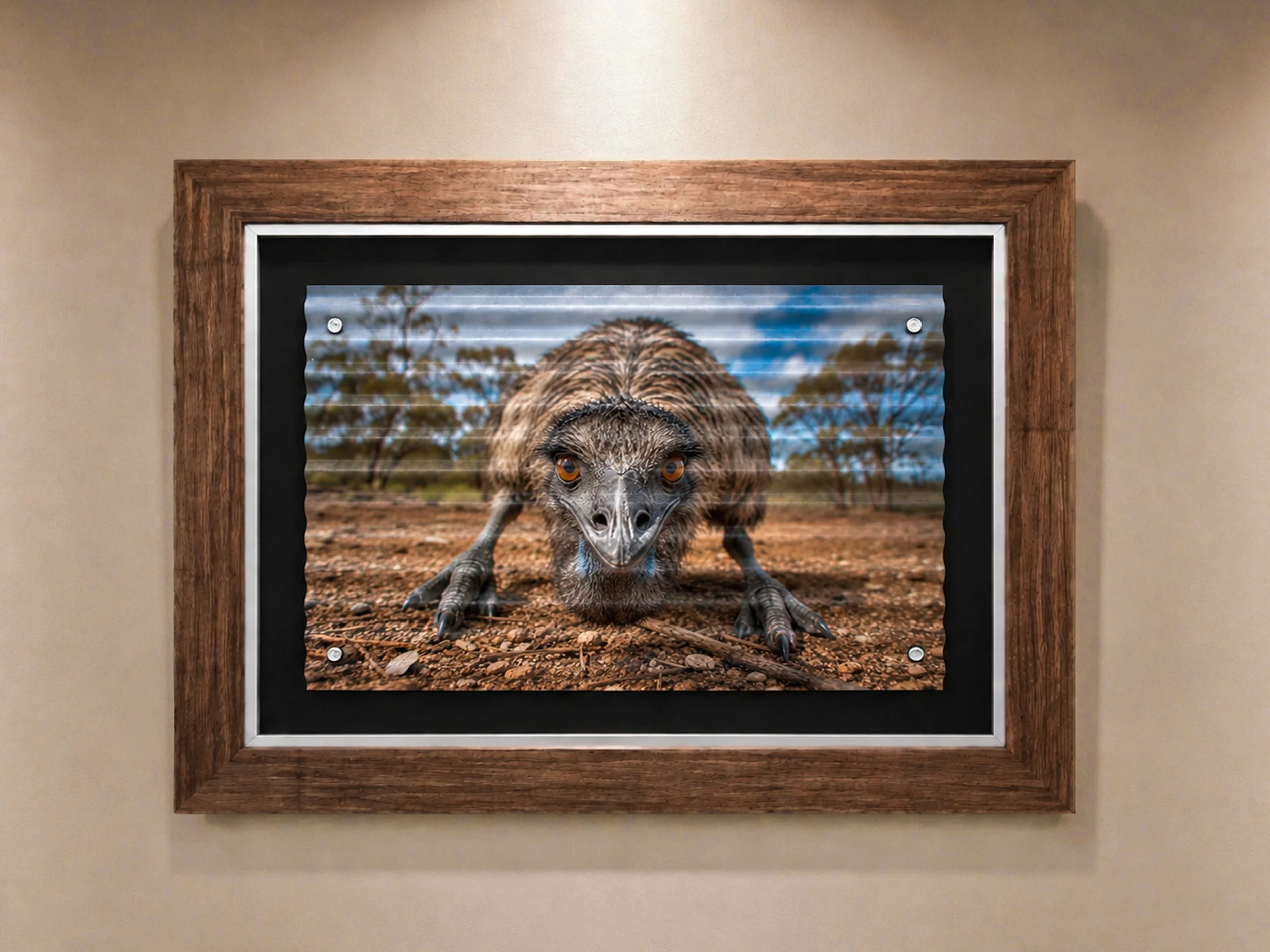 Outback Emu  Aussie Series #4