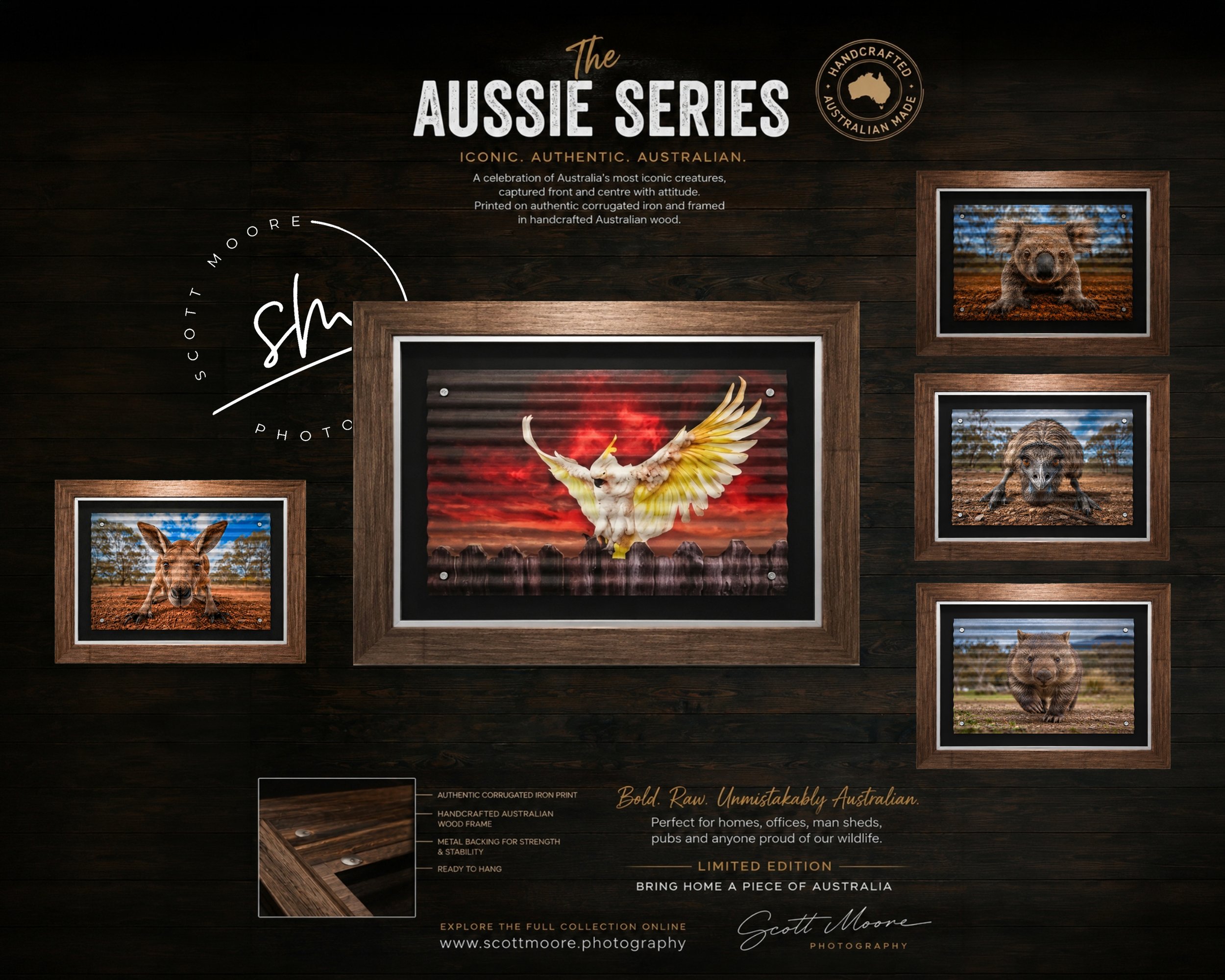 Aussie Series Bundle