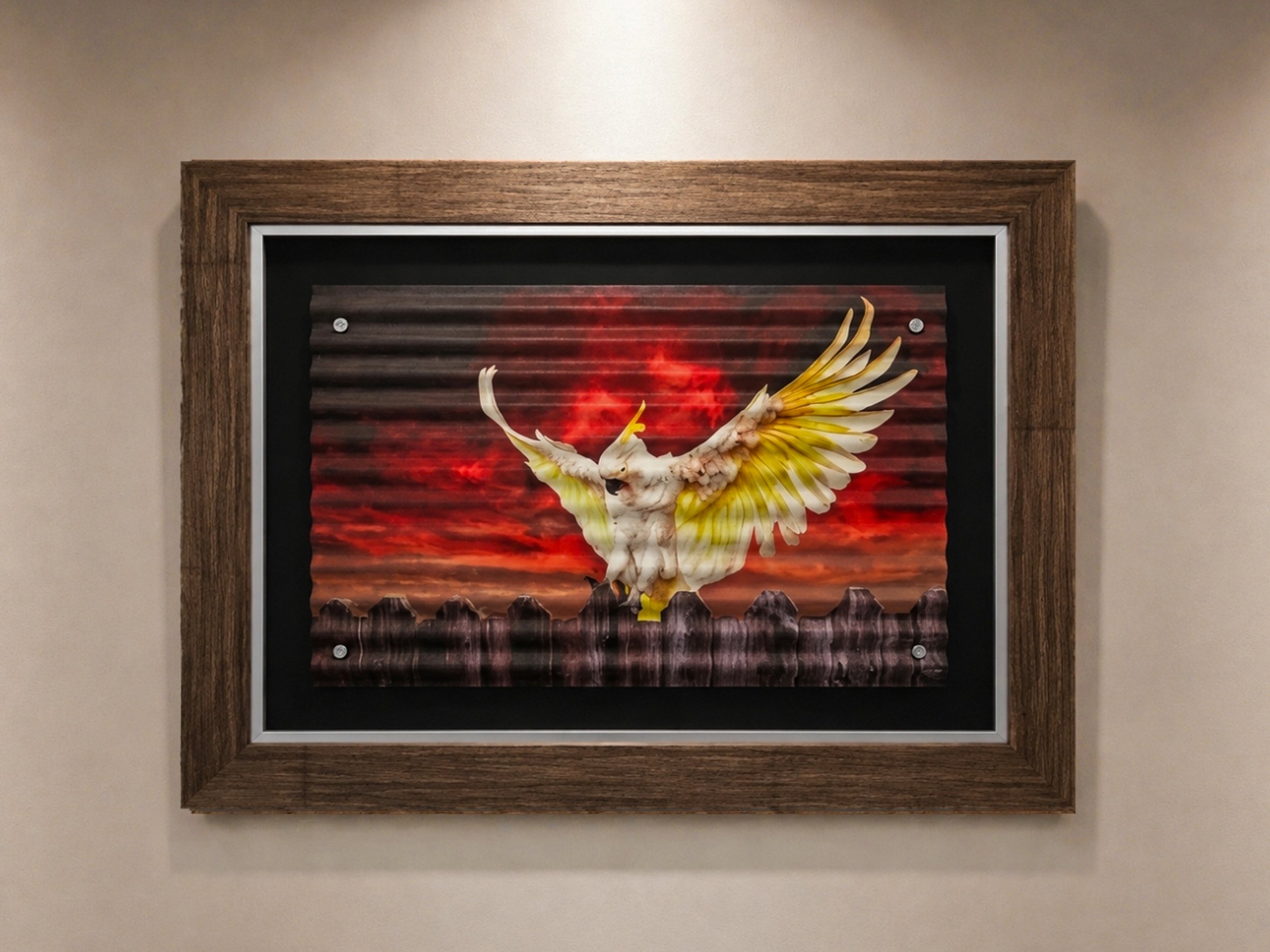 Sunset Cocky  Aussie Series #1